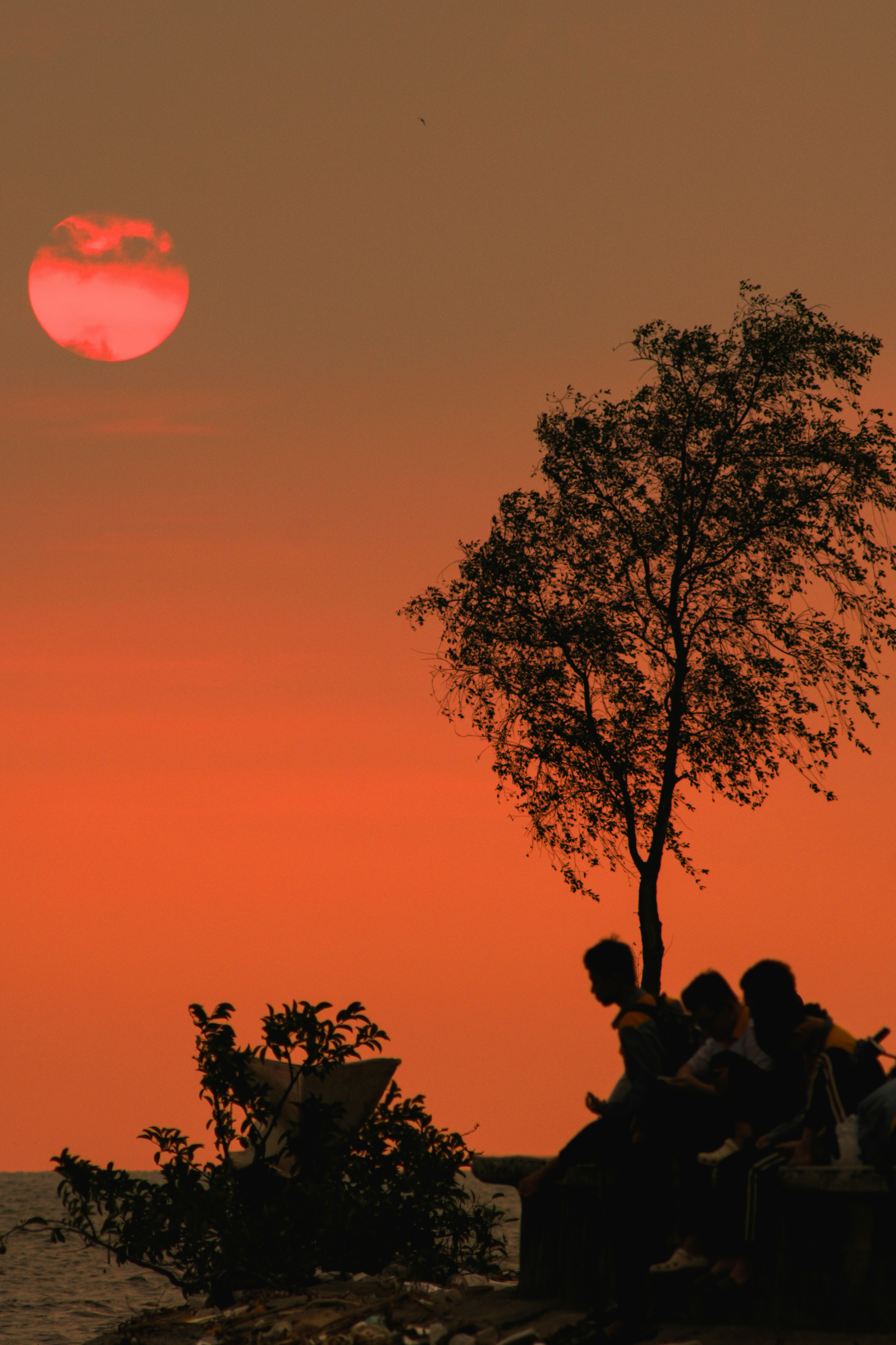 Silhouetted figures watch a vibrant sunset over the ocean.