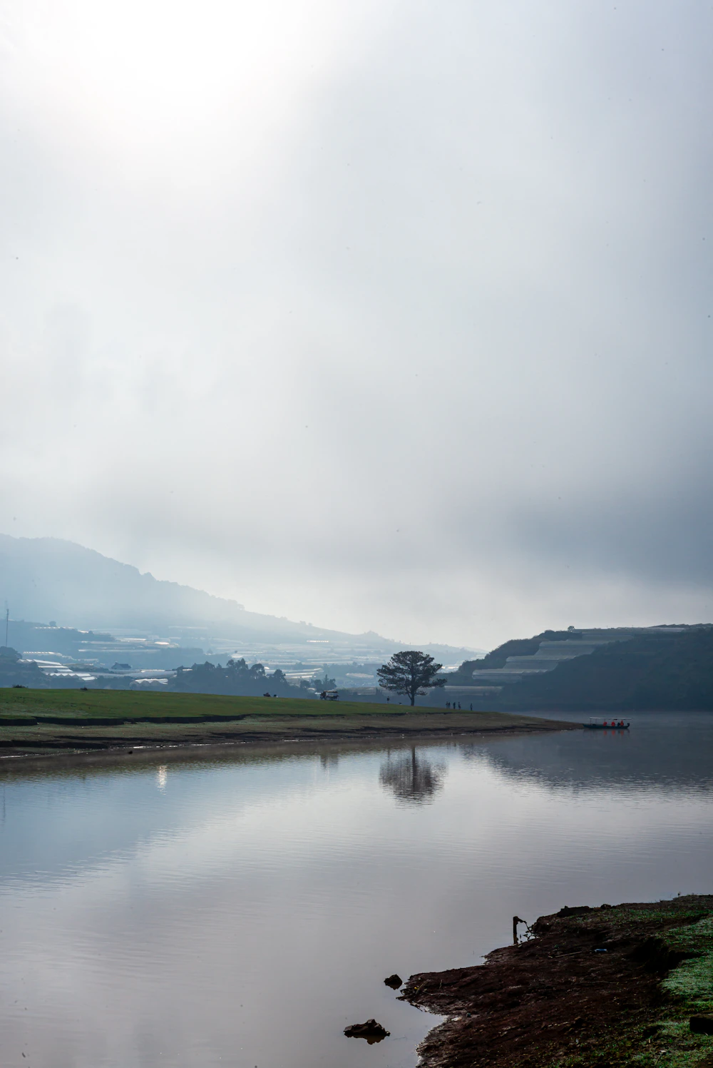 A lone tree reflected in a still lake below misty hills