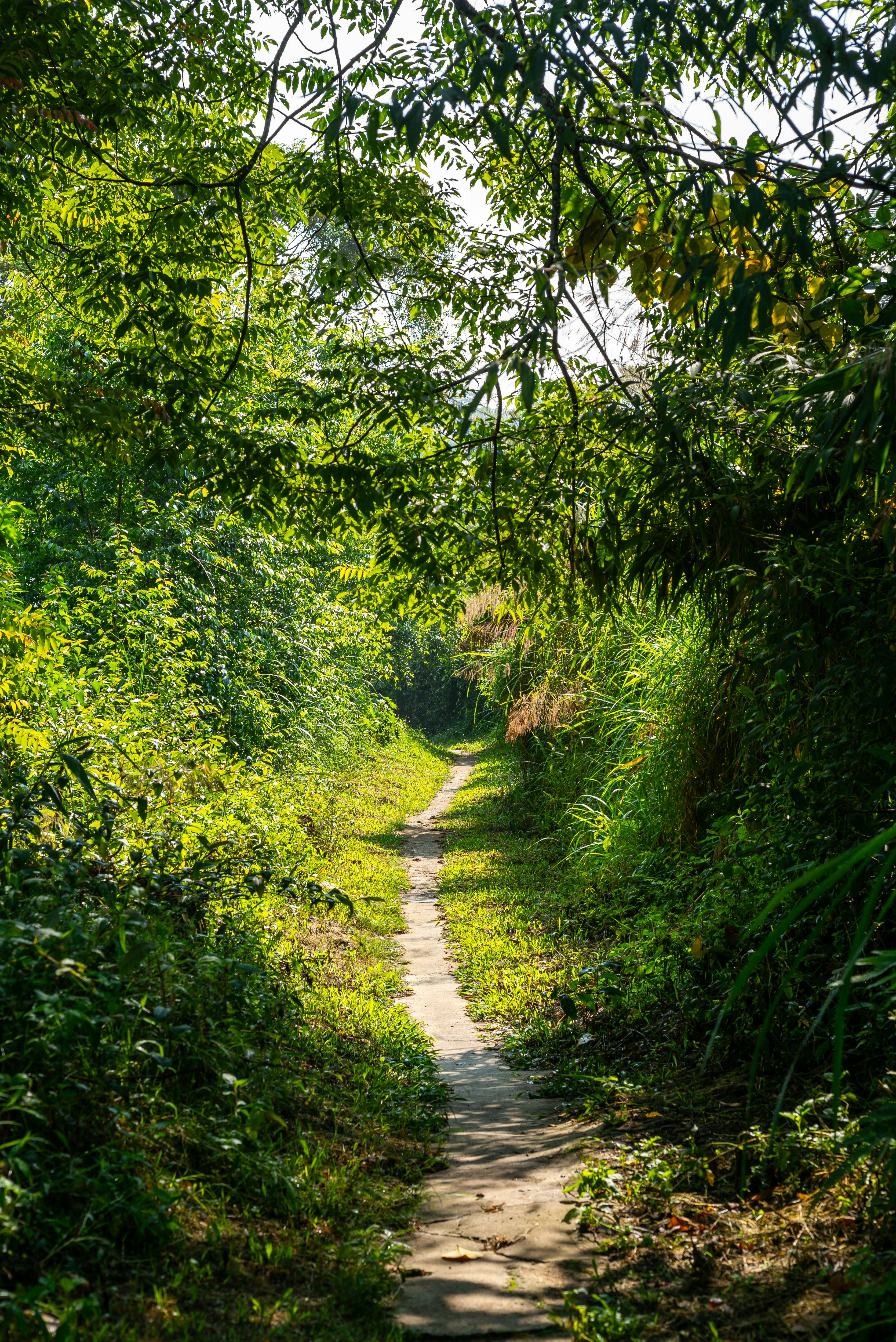 Photo by donguyenkhanhs