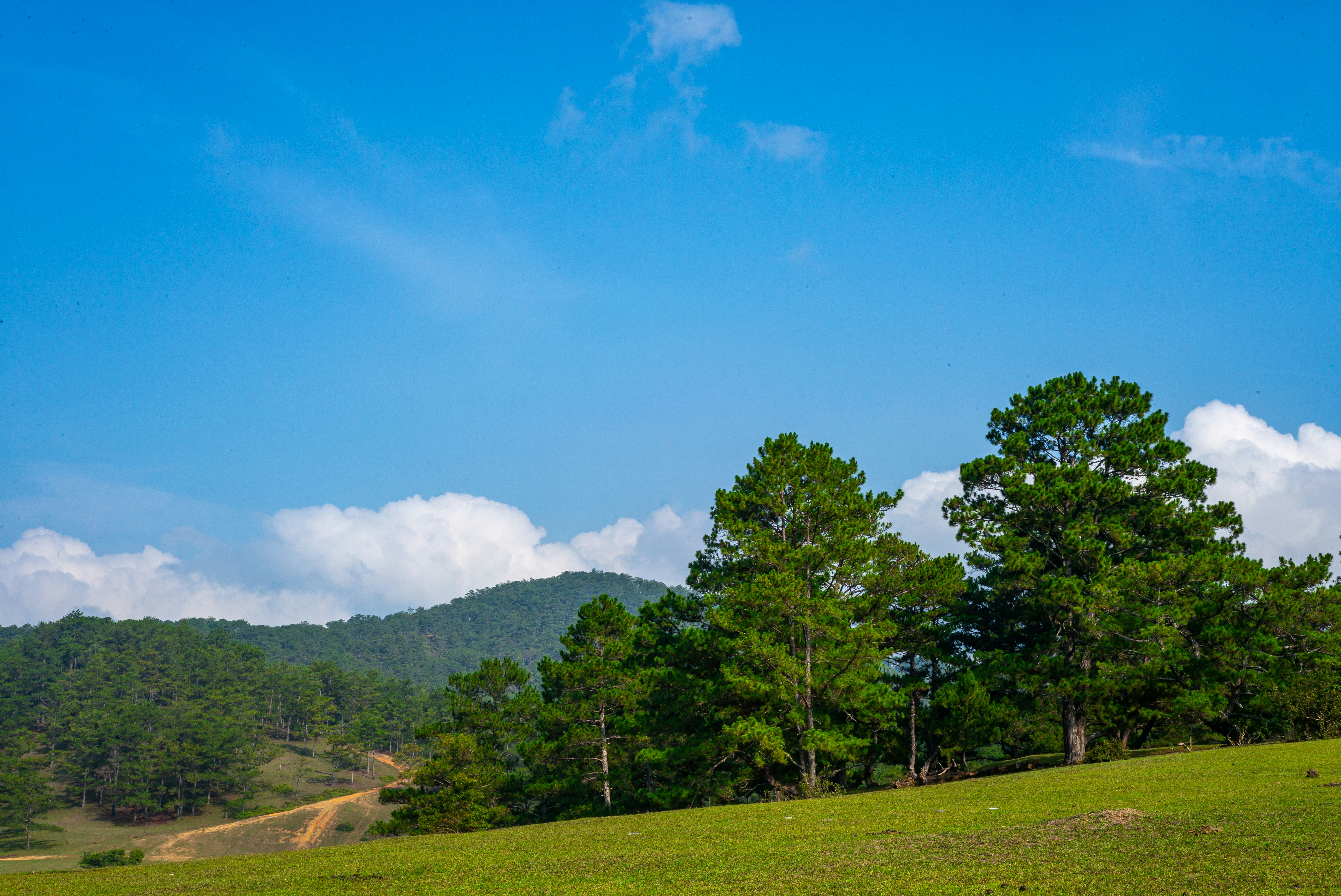 Photo by donguyenkhanhs