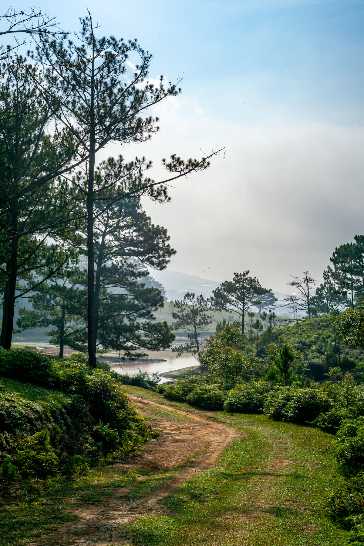 Ananthagiri Hills