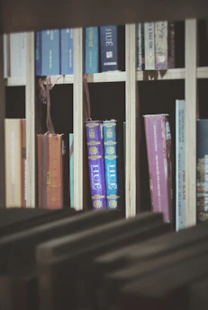 Books on a wooden shelf with decorative spines.
