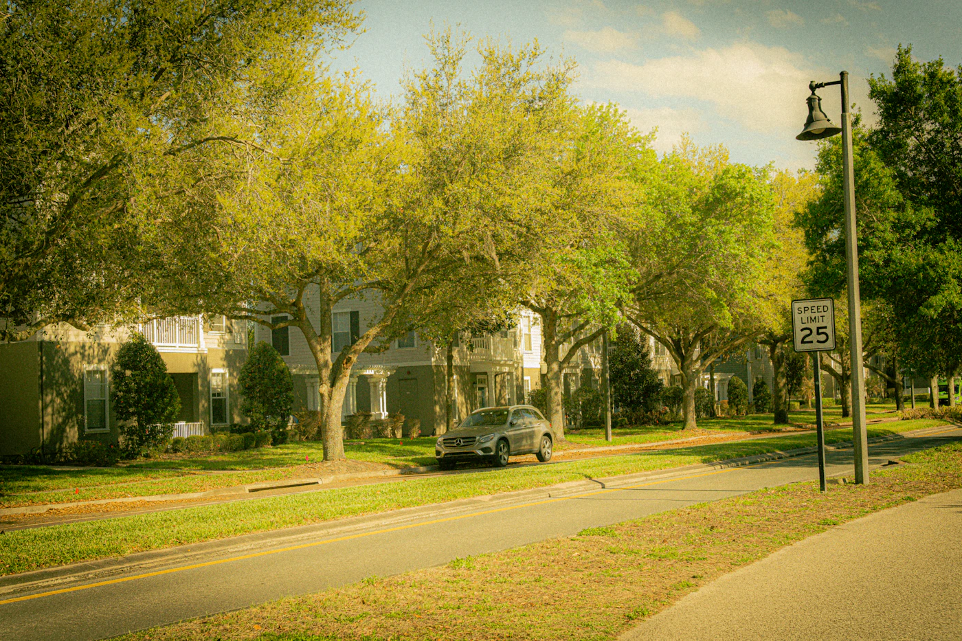 A quiet, established U.S. residential street lined with trees and houses