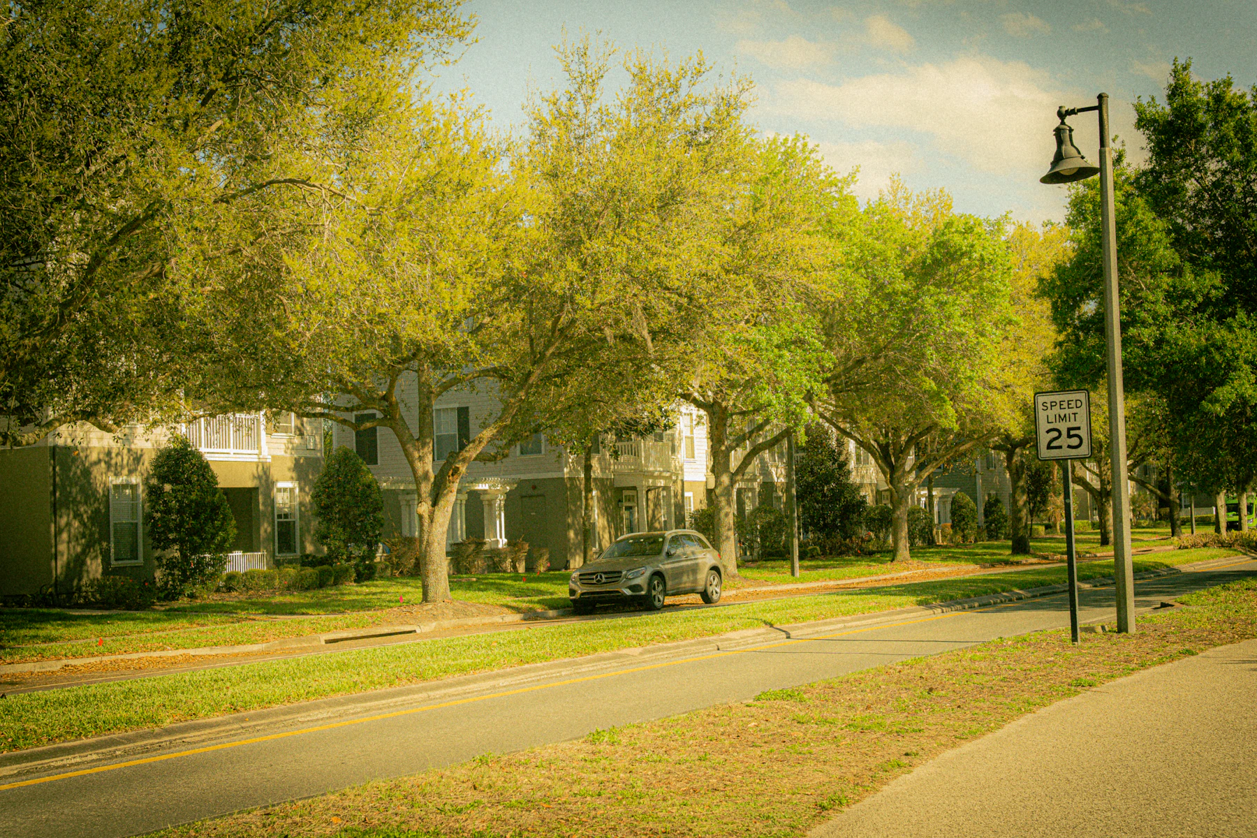 A quiet, established U.S. residential street lined with trees and houses