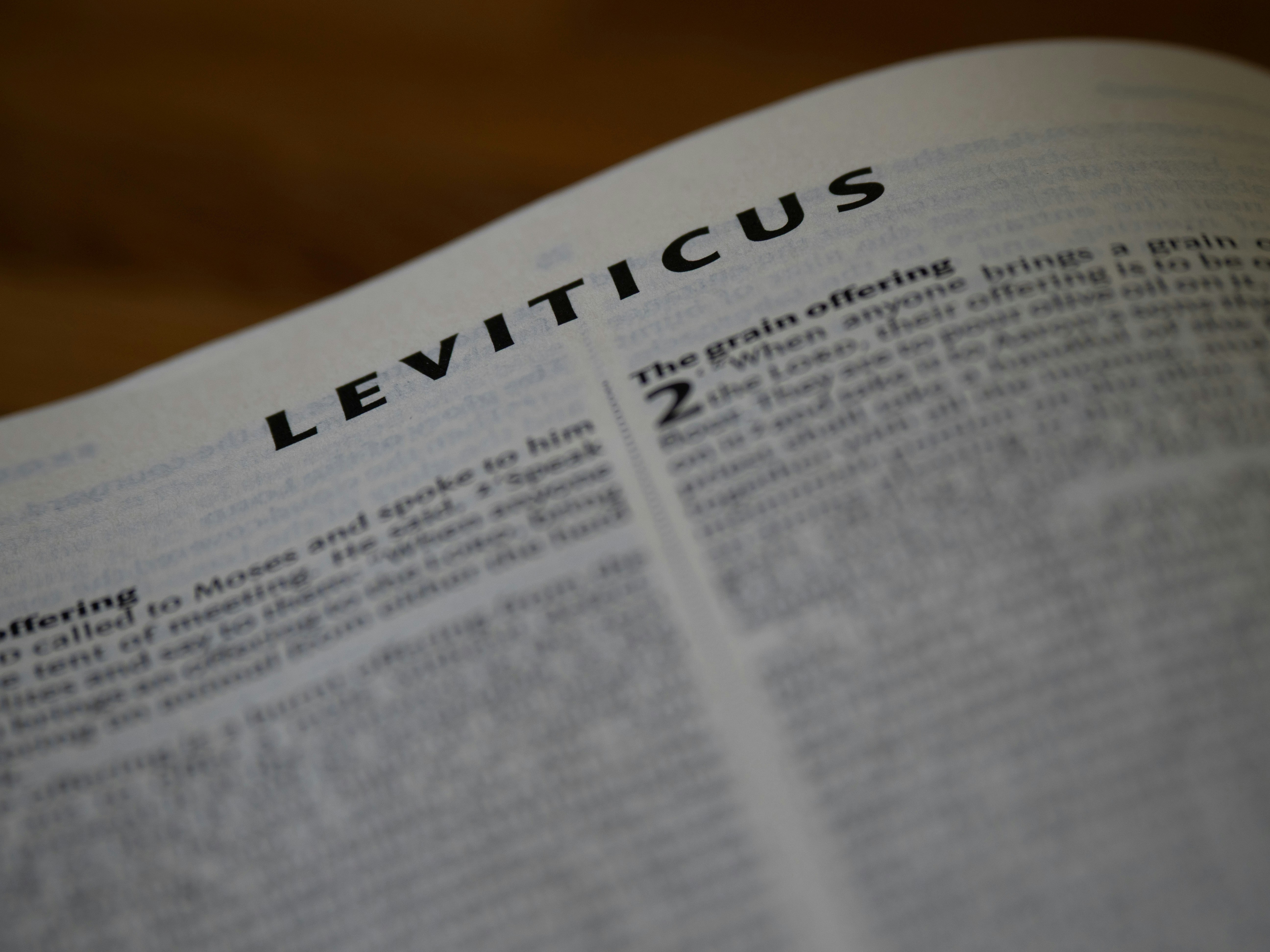 Close-up of the book of leviticus in a bible.
