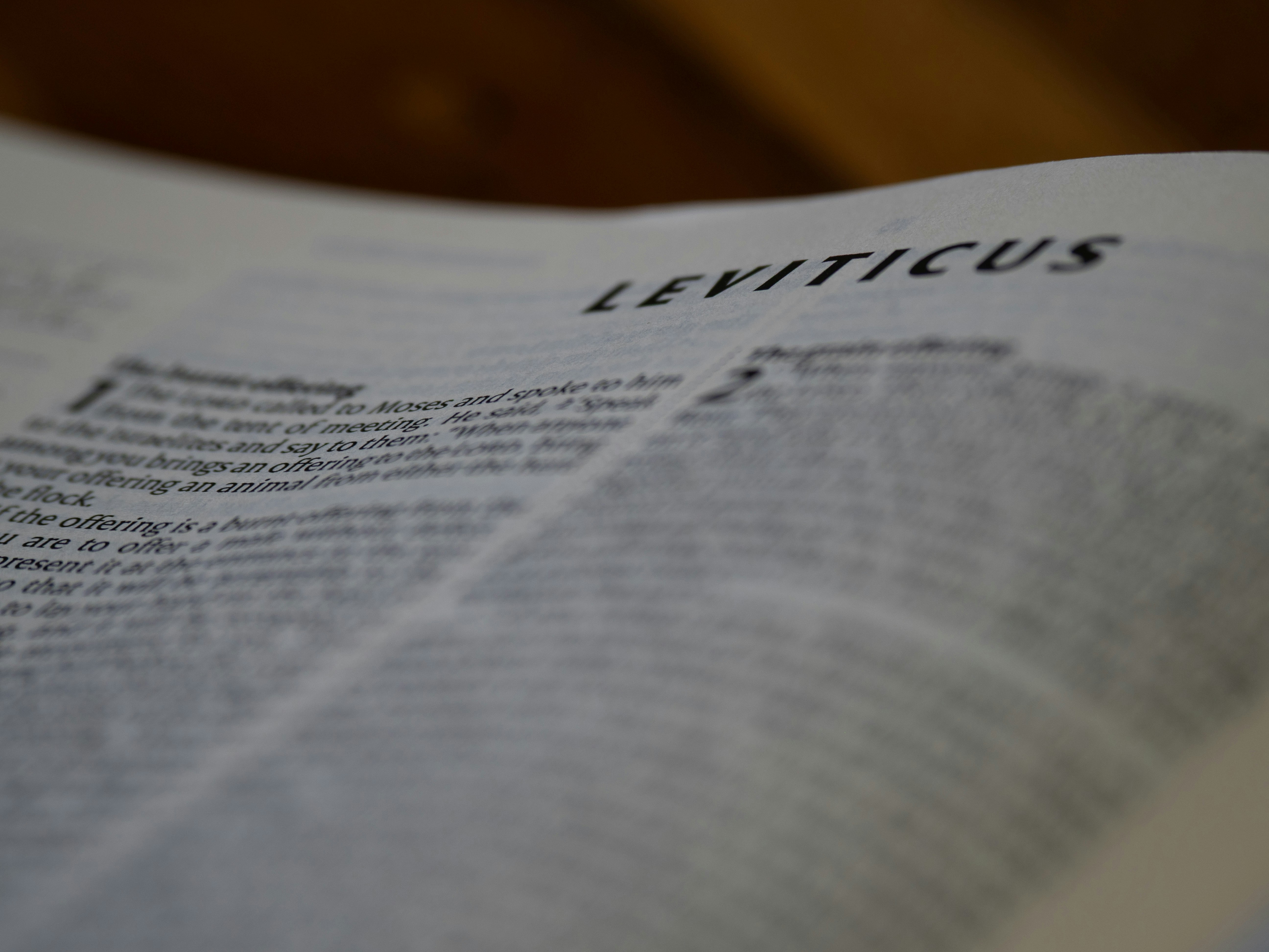 Close-up of an open book with the word leviticus.