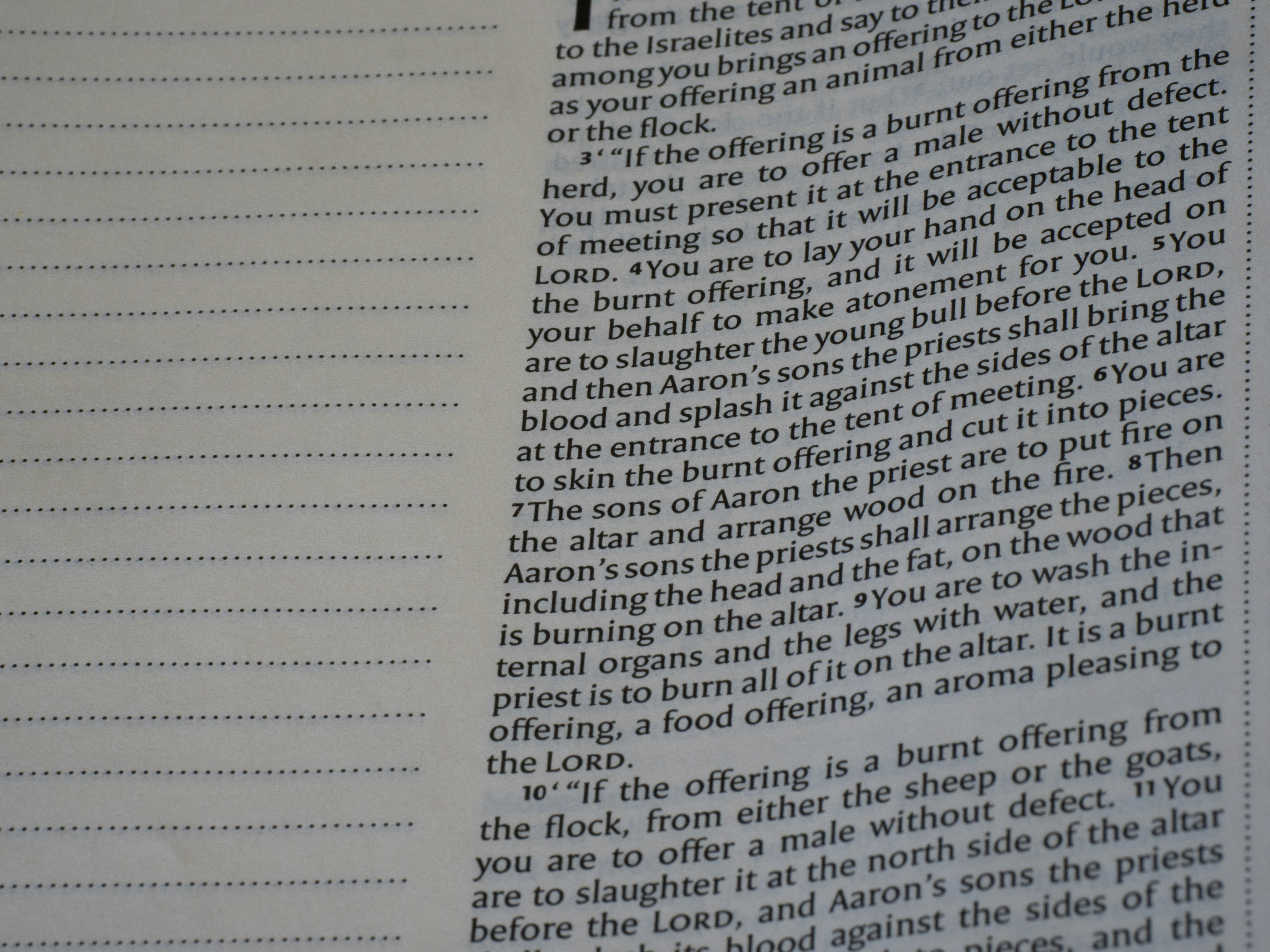 Close-up of text on a page with lines