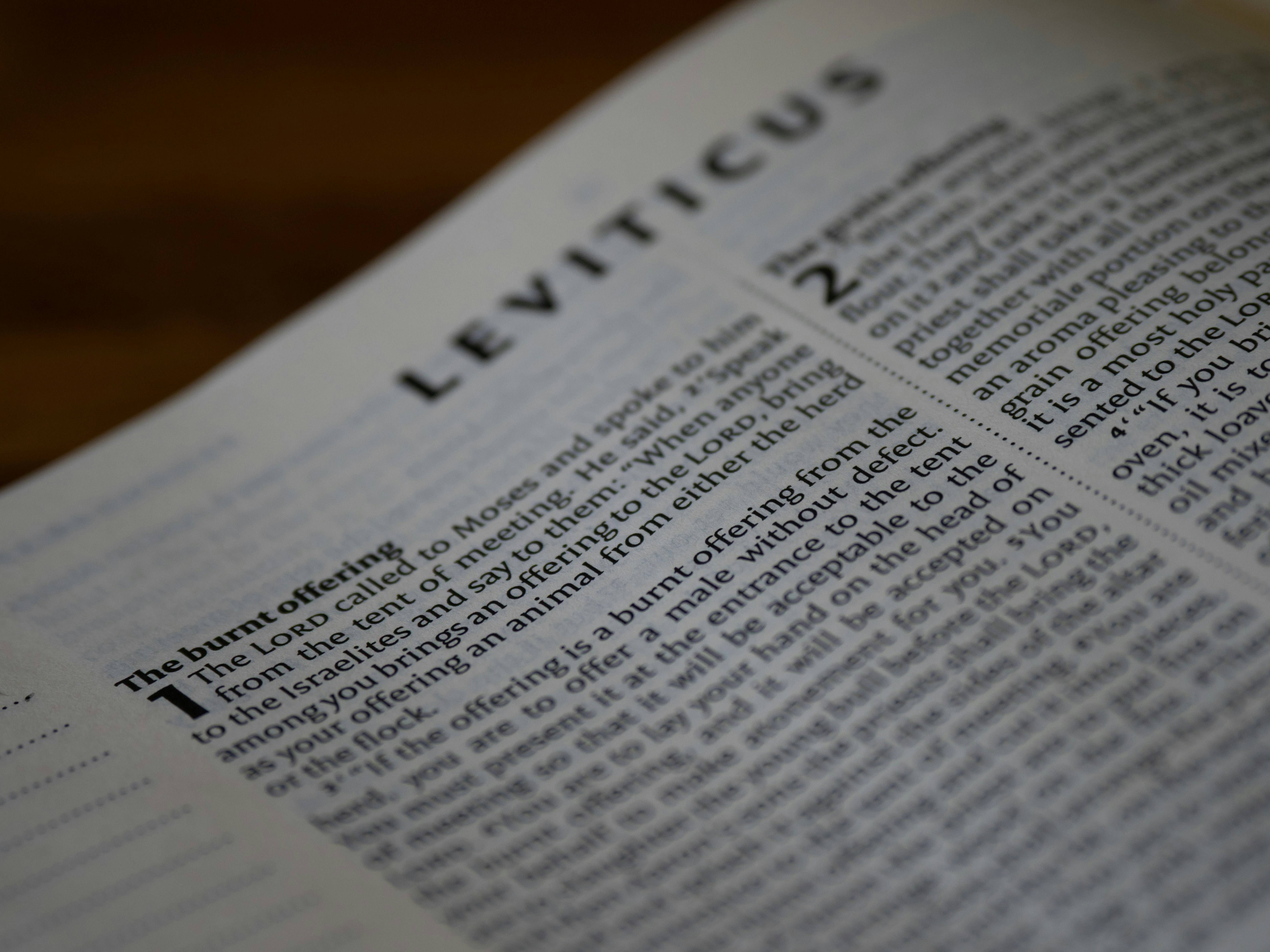 The Book of Leviticus