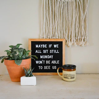 Letter board with quote and plants on shelf.