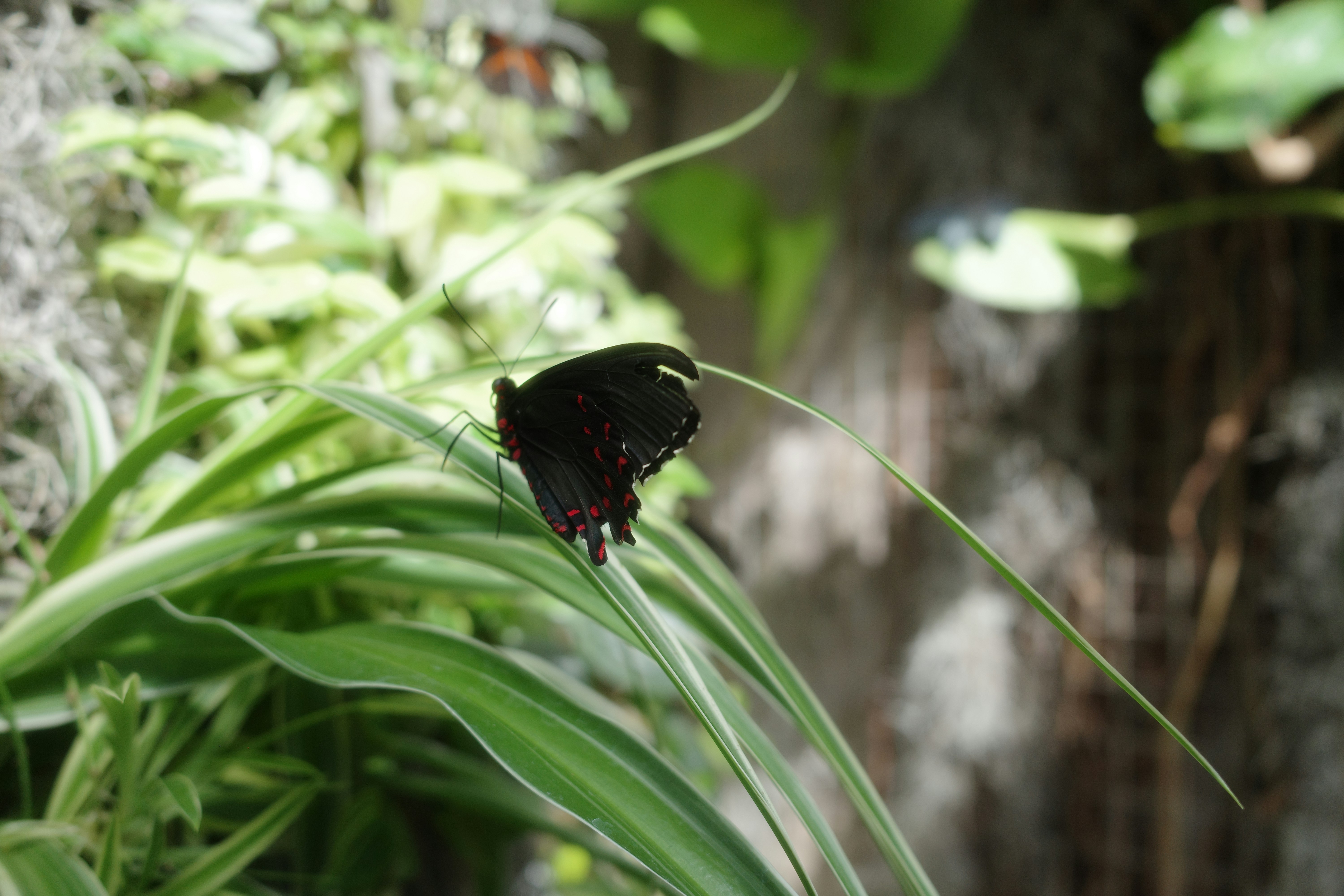 Photo by magicunsplash