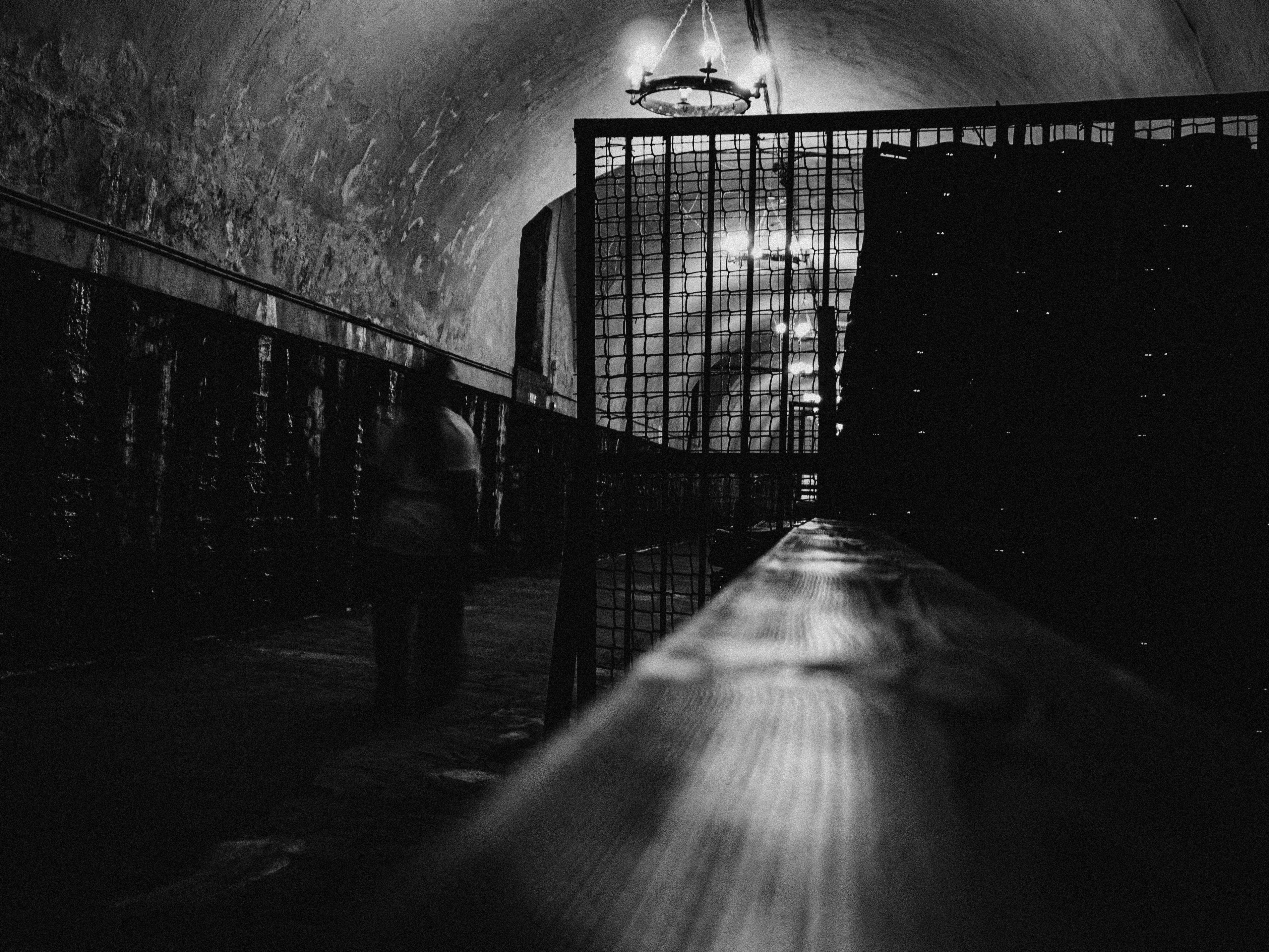 Photo by humanflesharmor