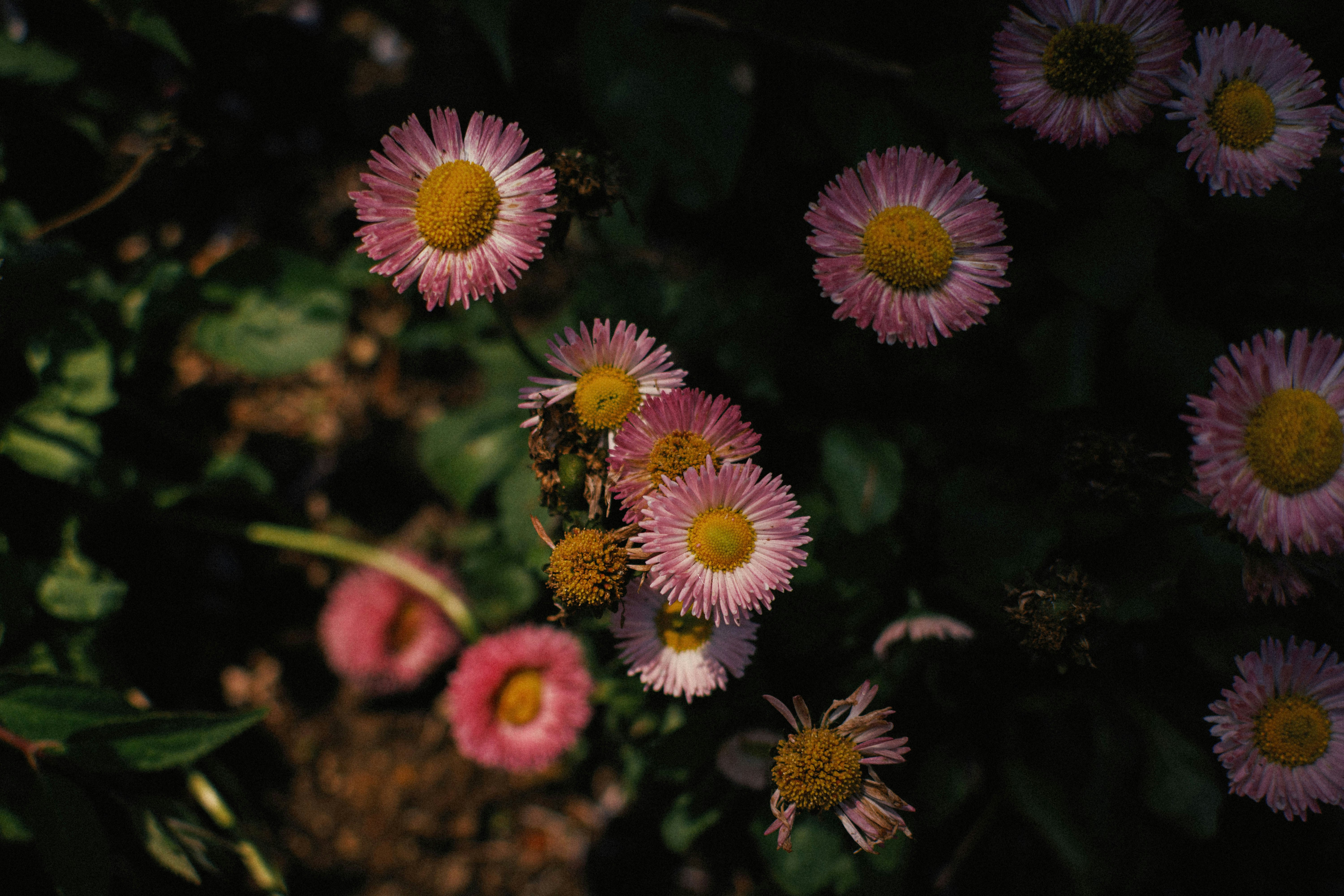 Photo by dwlly