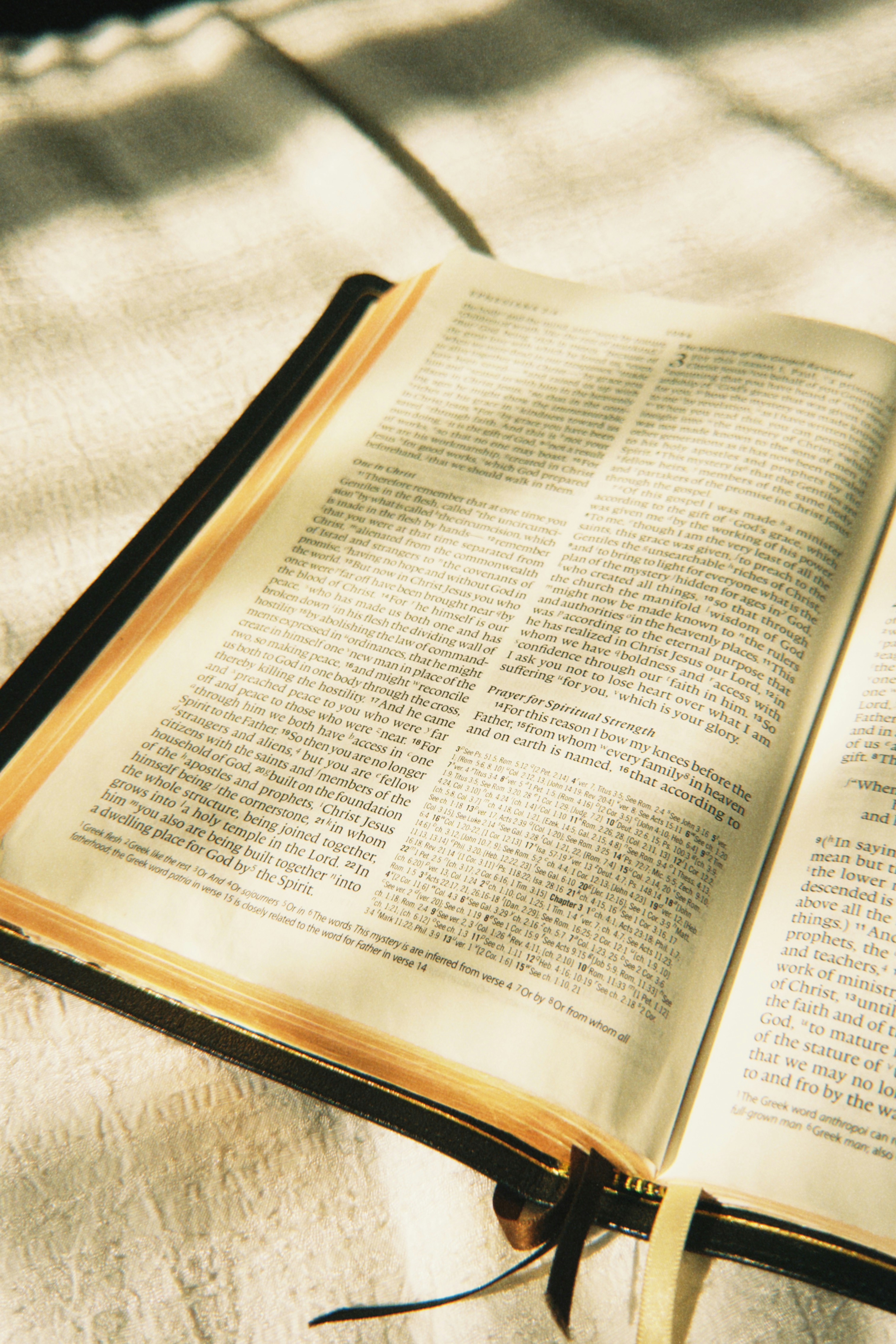 An open bible with sunlight streaming through blinds.