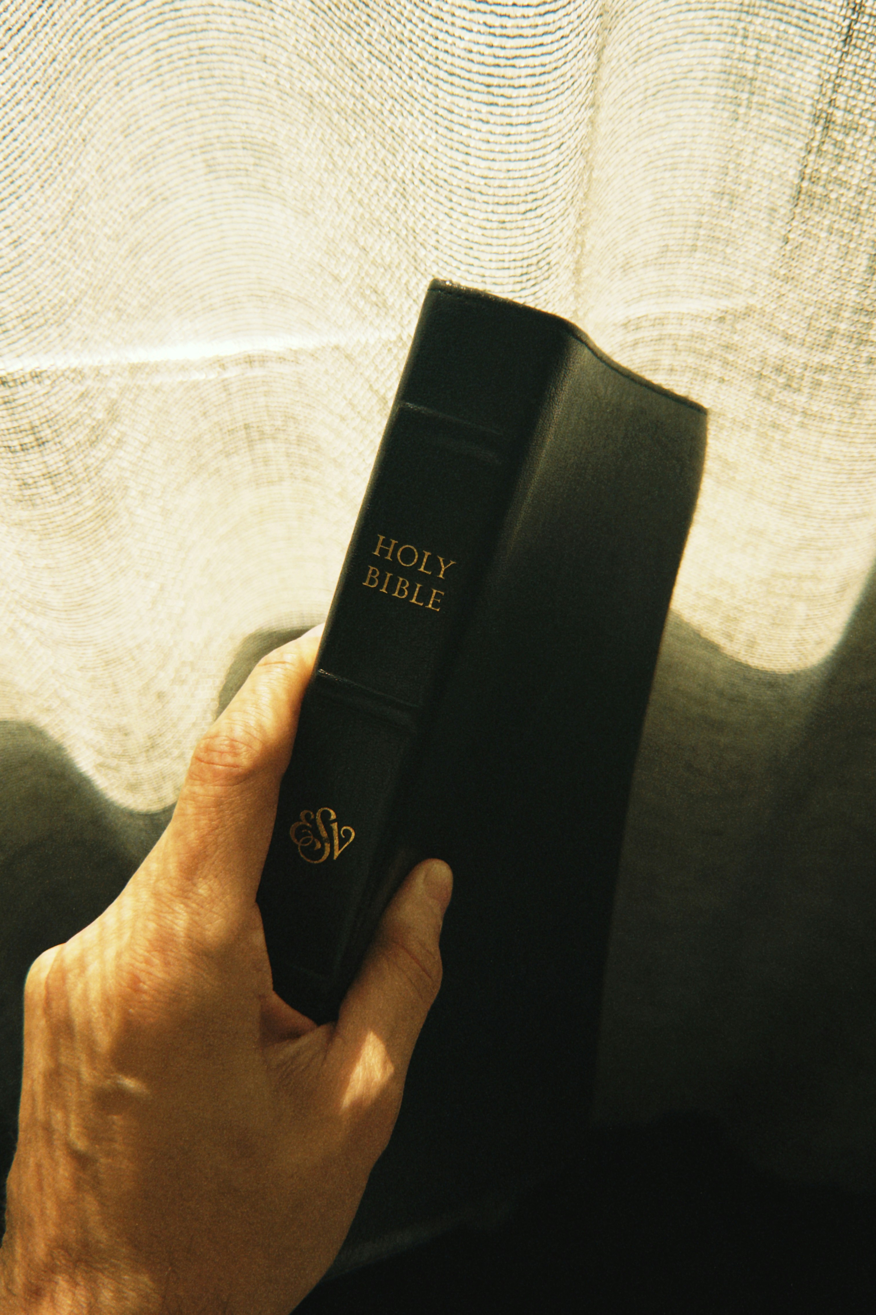 A hand holds a black holy bible near a window.