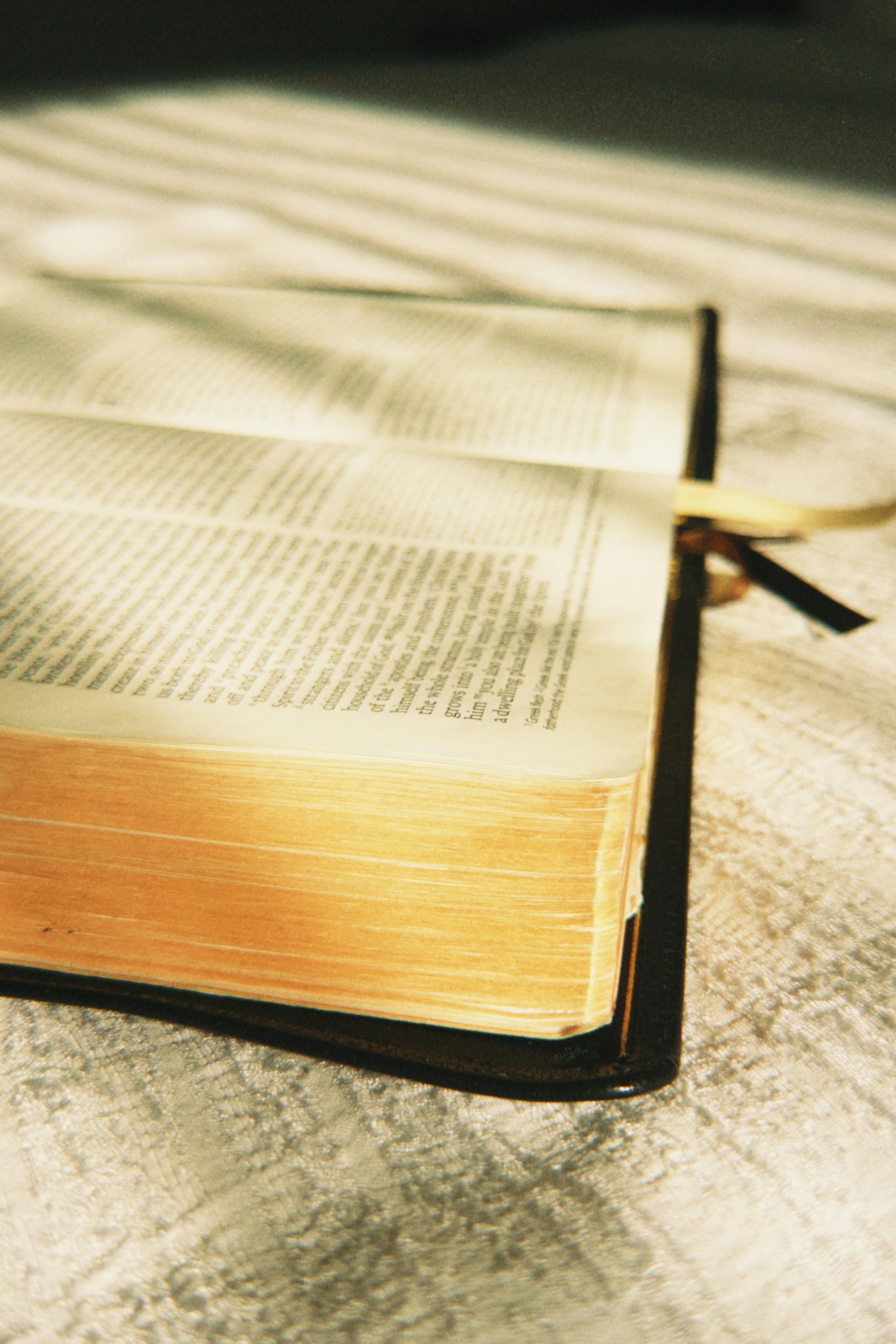 An open book with pages illuminated by sunlight.