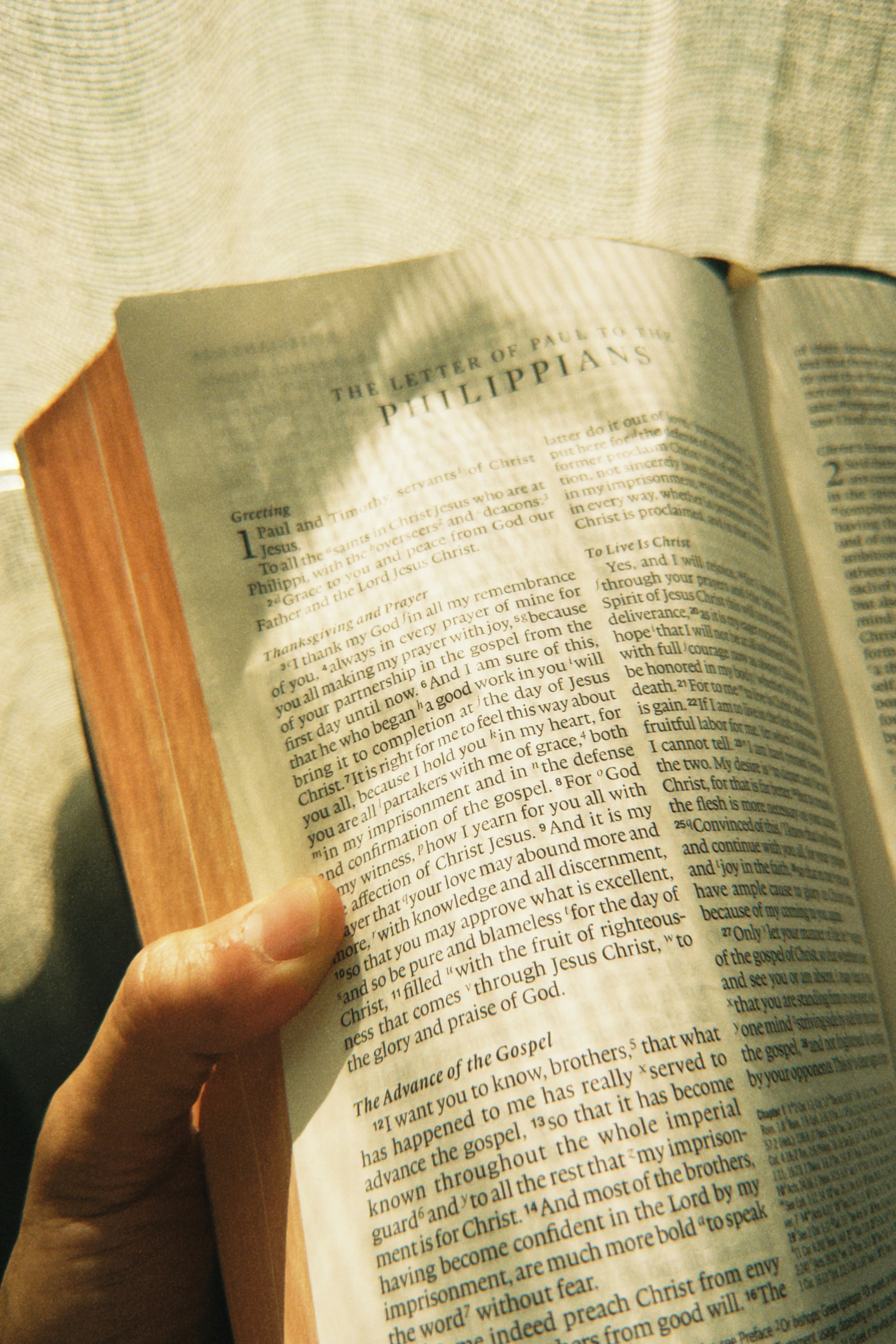 Hand holding an open bible with sunlight streaming through.