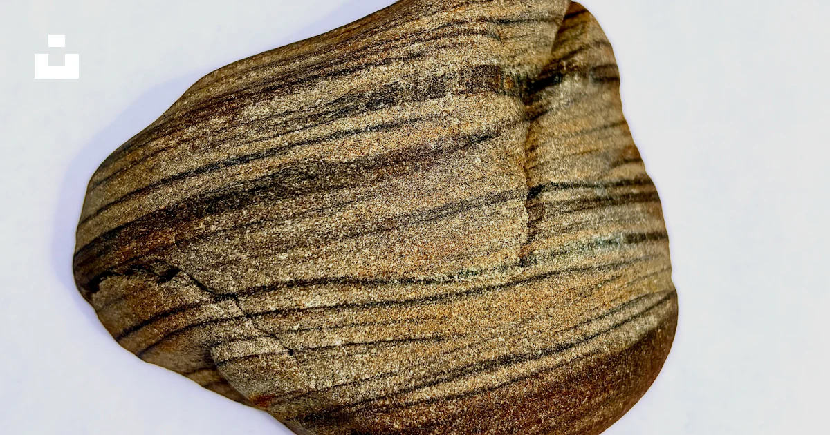 Striped Lightweight Rocks A striped rock on a white background photo – Free Texture Image on Unsplash