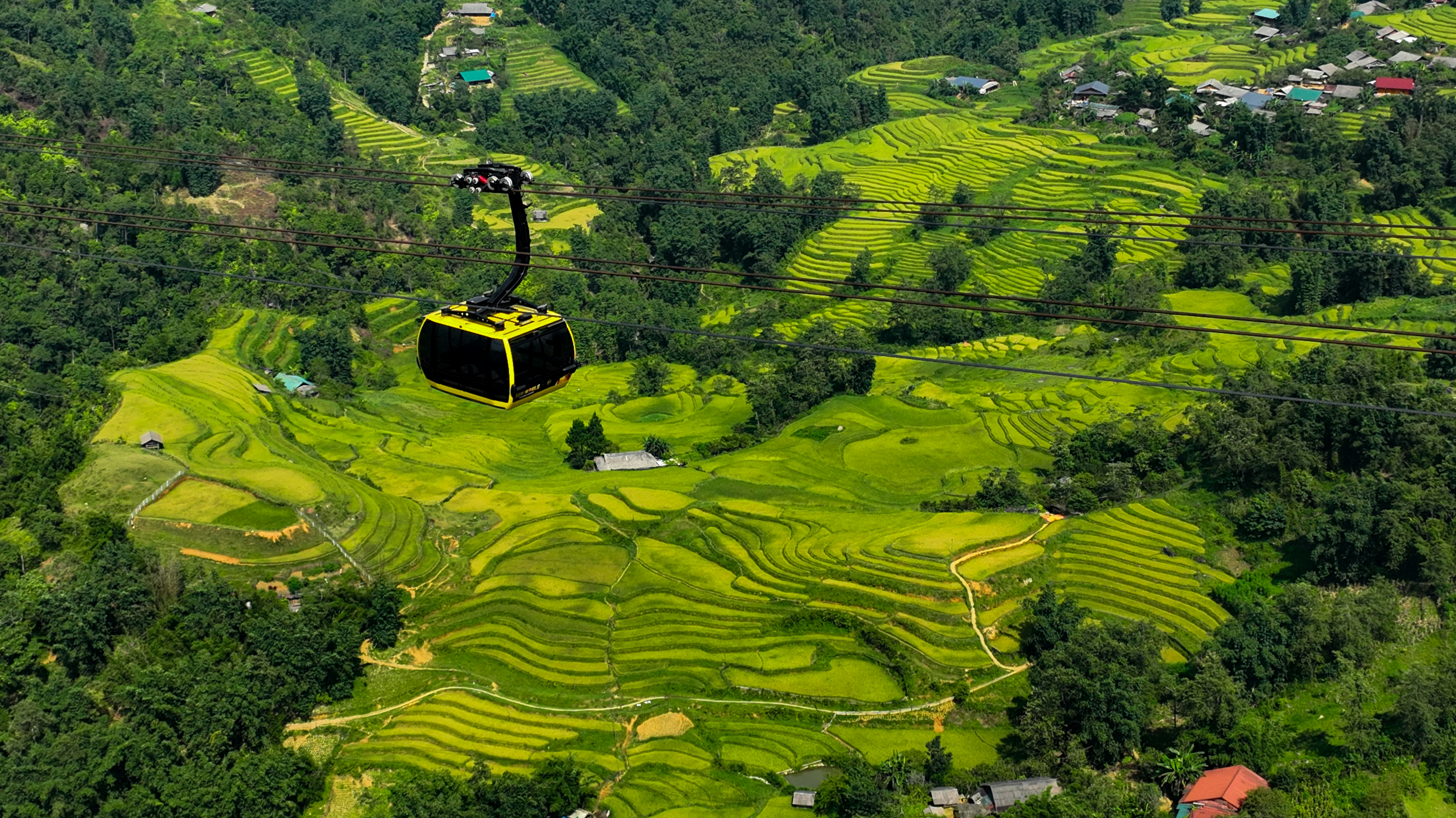 Teleférico sobre campos de arroz em terraços verdejantes.
