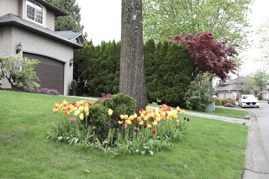 Replanted Smyrna front yard with layered beds and spring colour - after