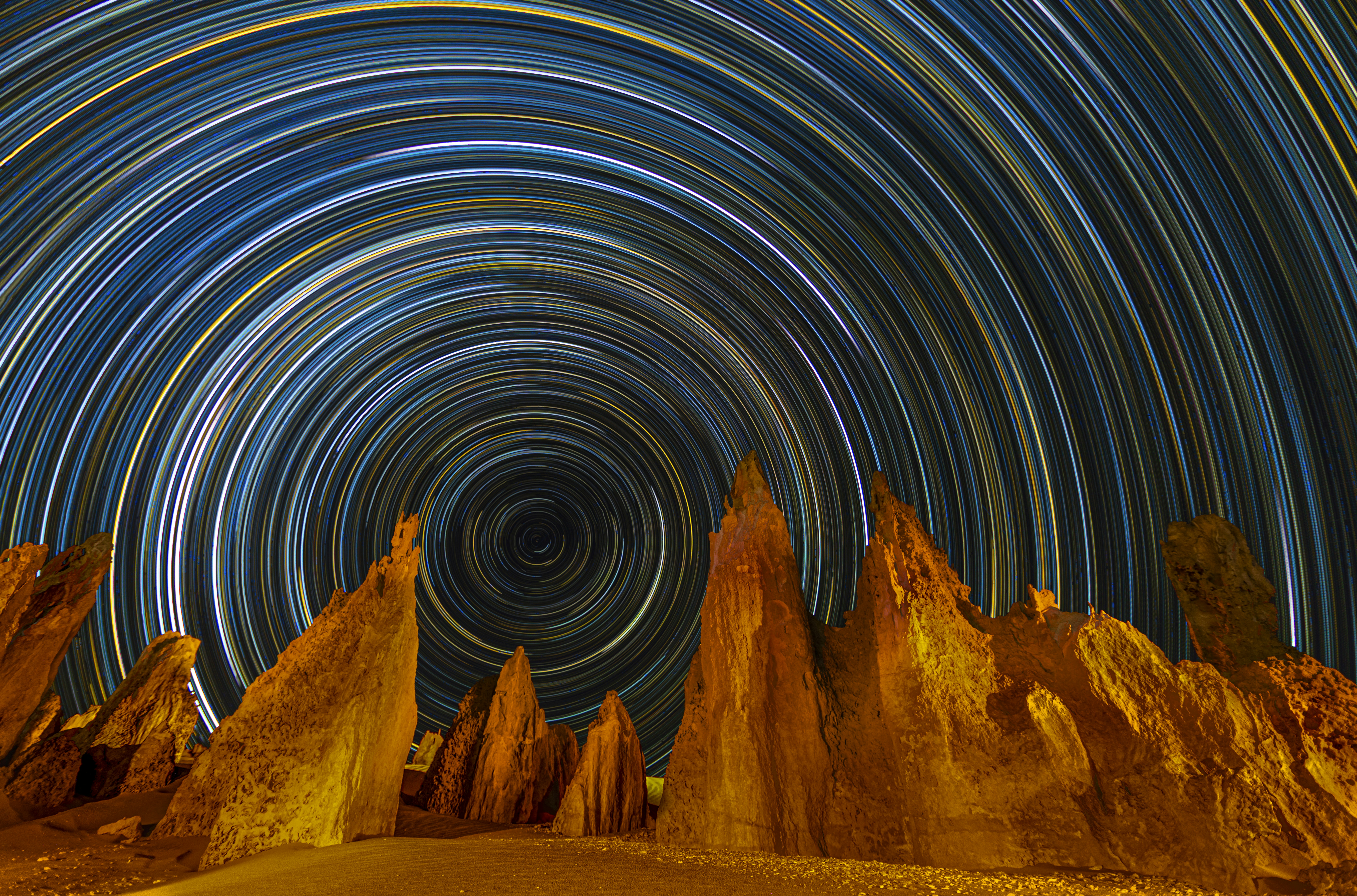 An Complete Guide to Designated Agents: Navigating Your Possibilities