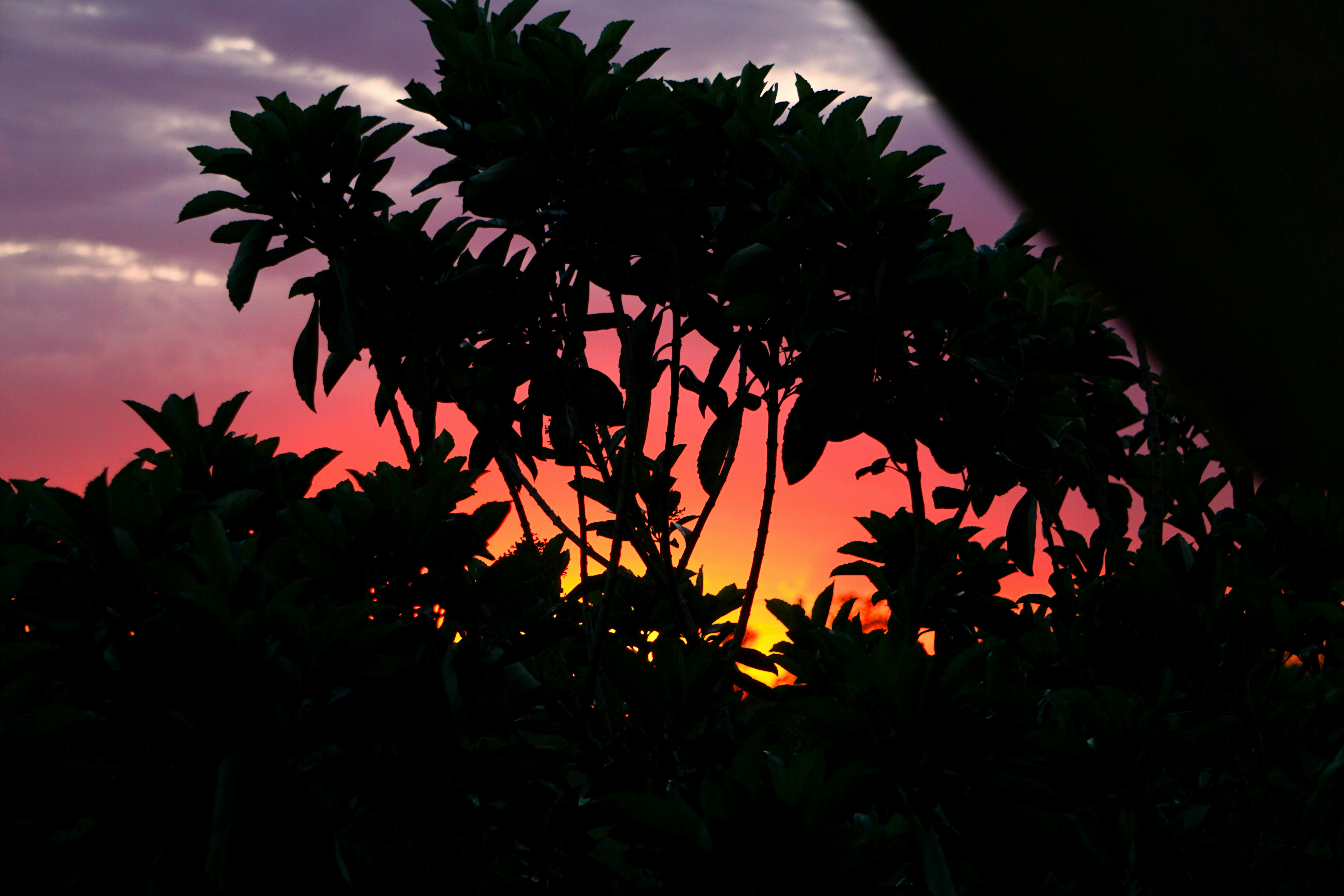 Photo by thekightkeeper1