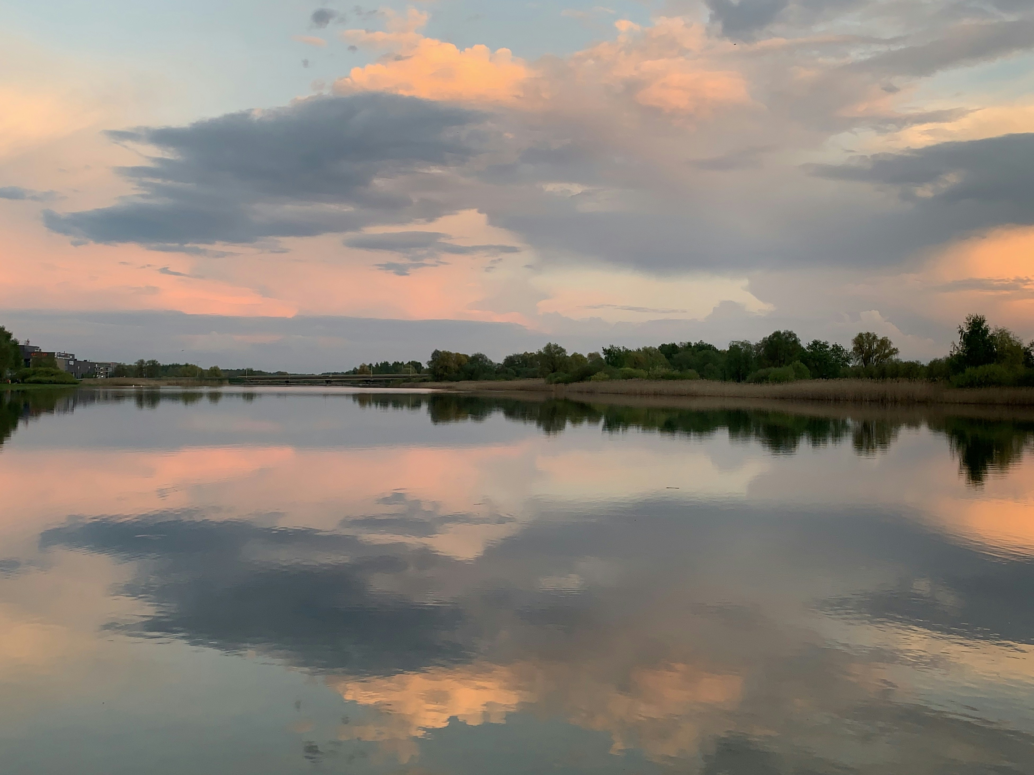 Photo by sergei_gussev