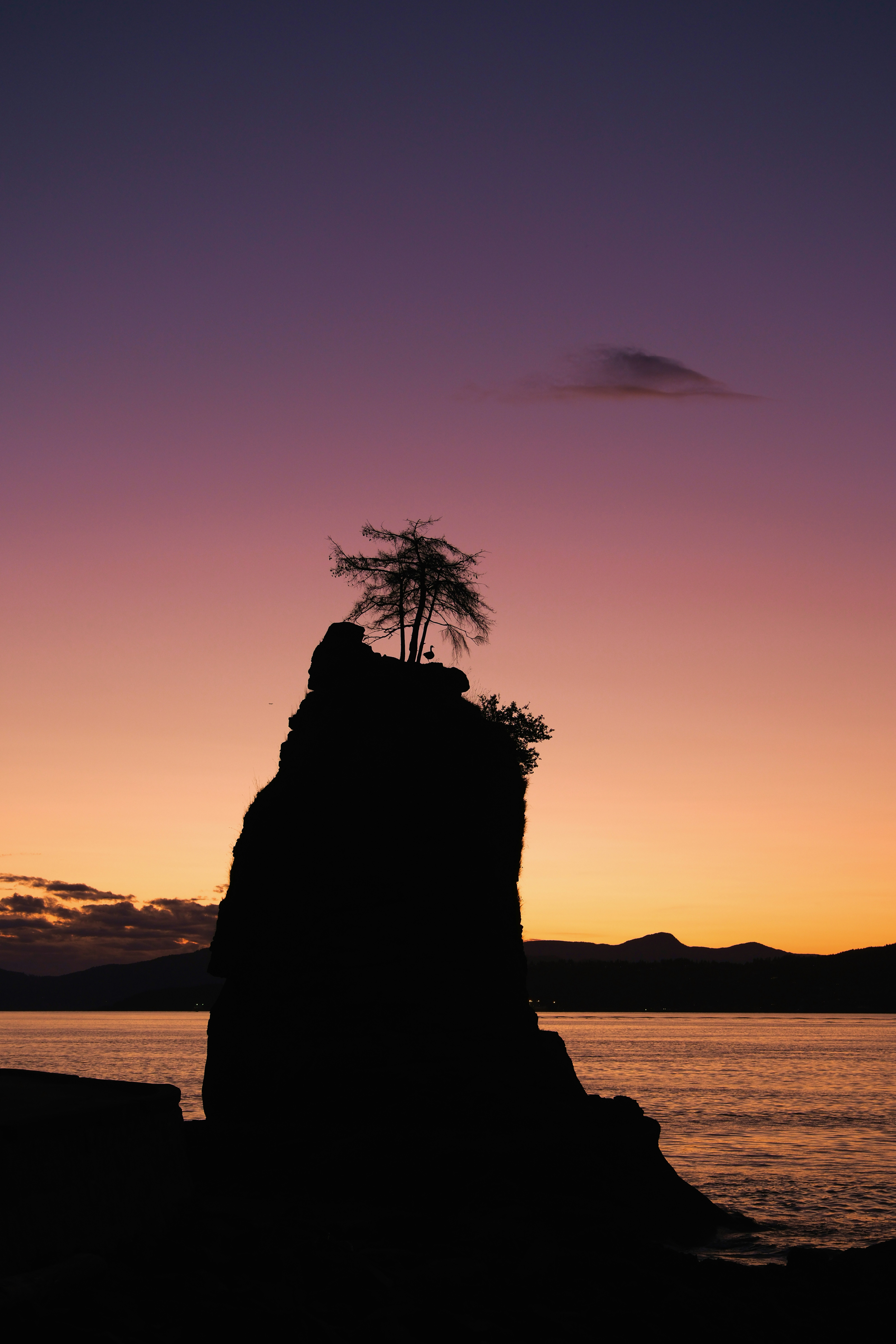 Silhouette of a rocky island with trees at sunset.