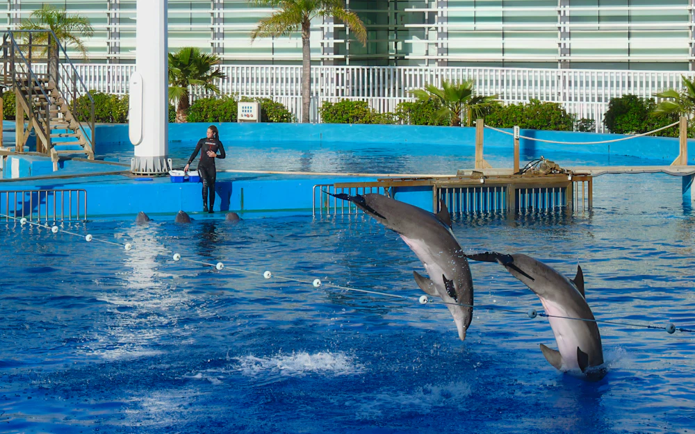 Ocean World Marina