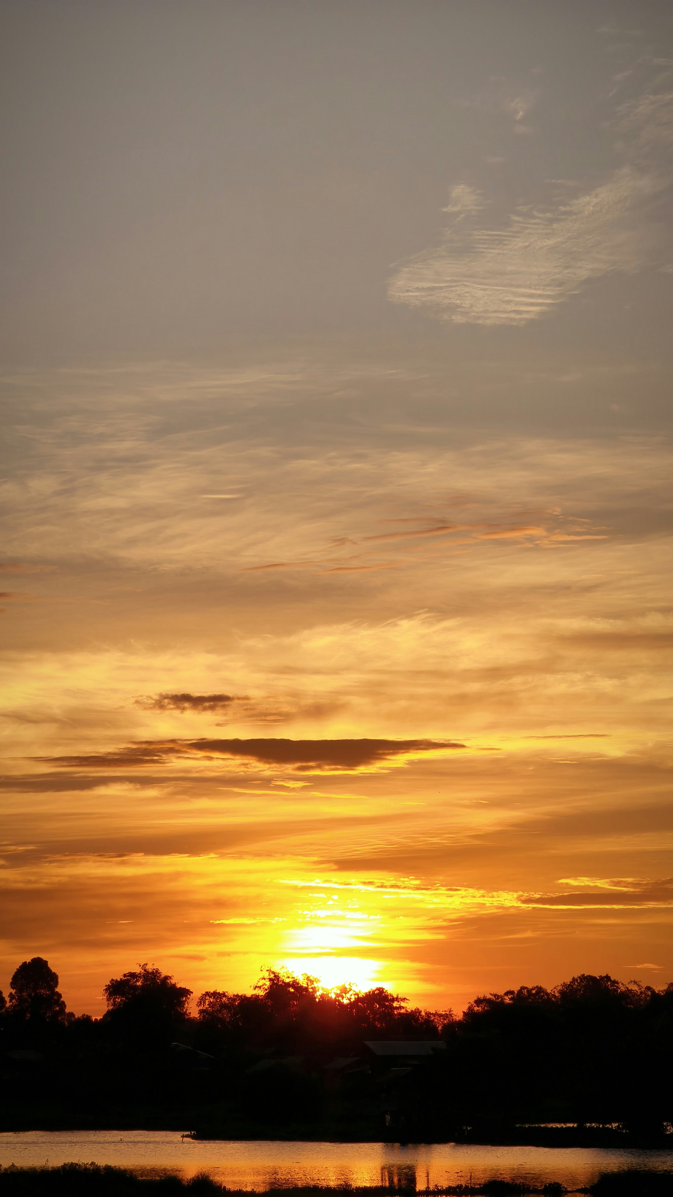Photo by dilabrr
