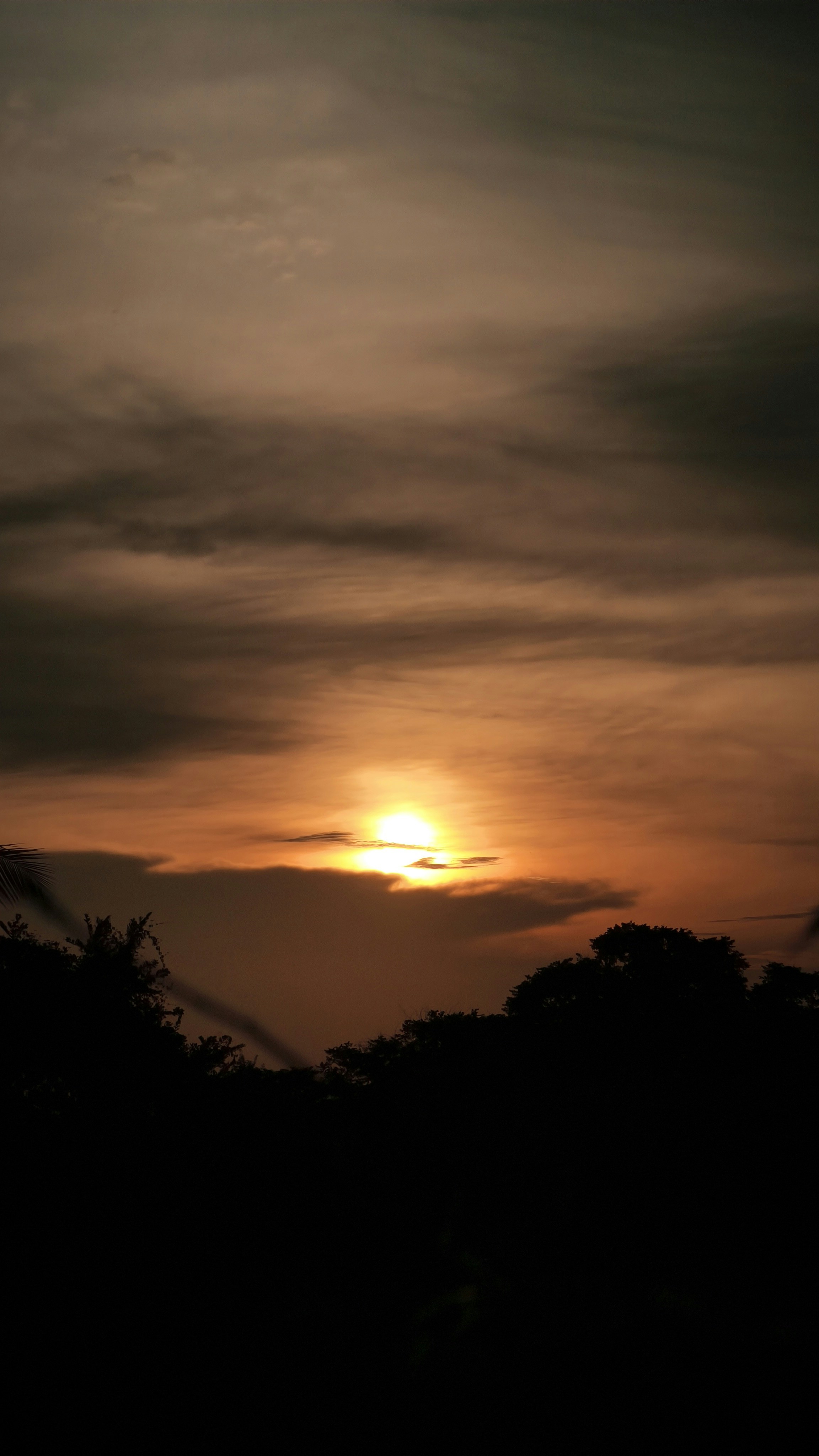 Photo by dilabrr