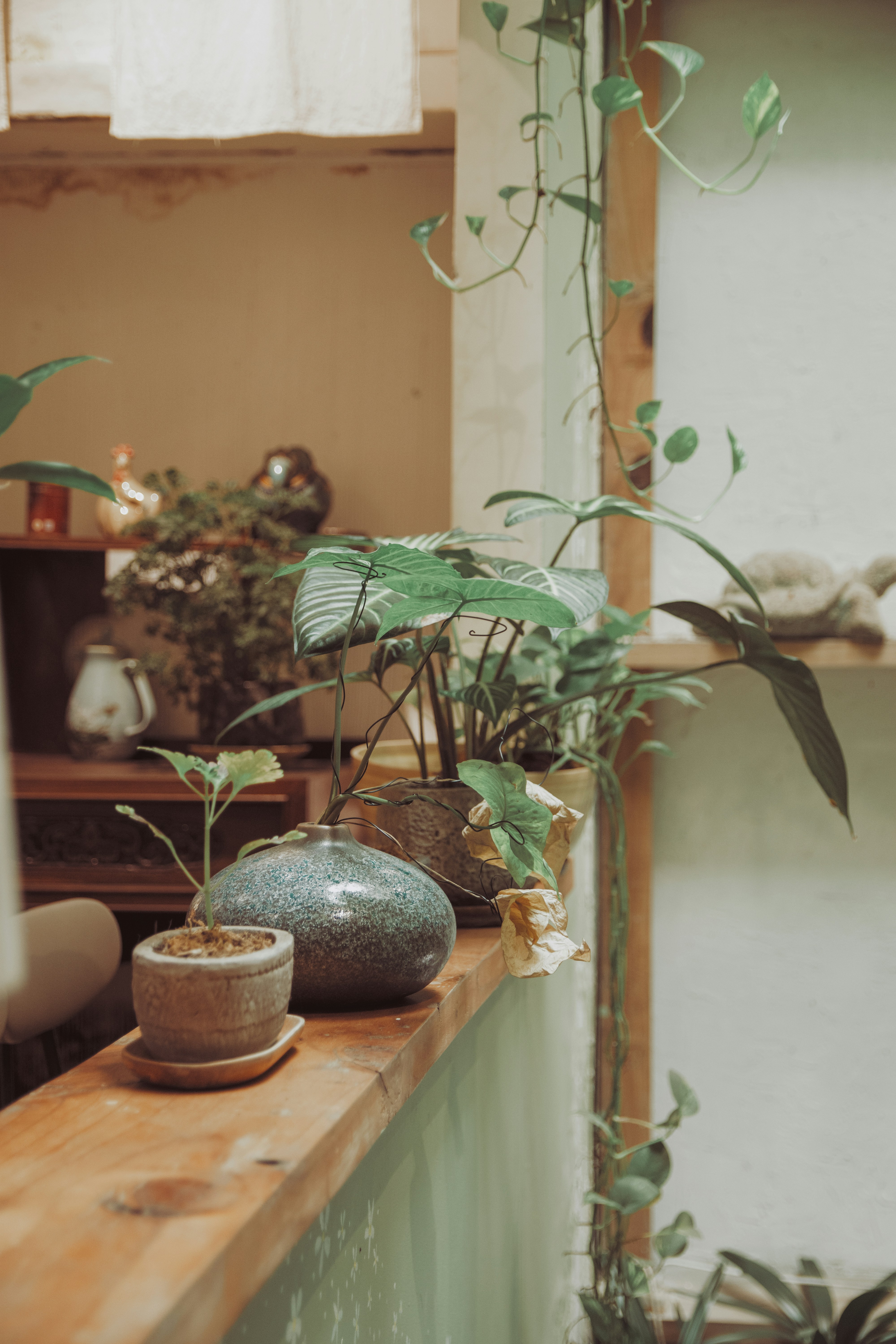 Photo by haungynphuc