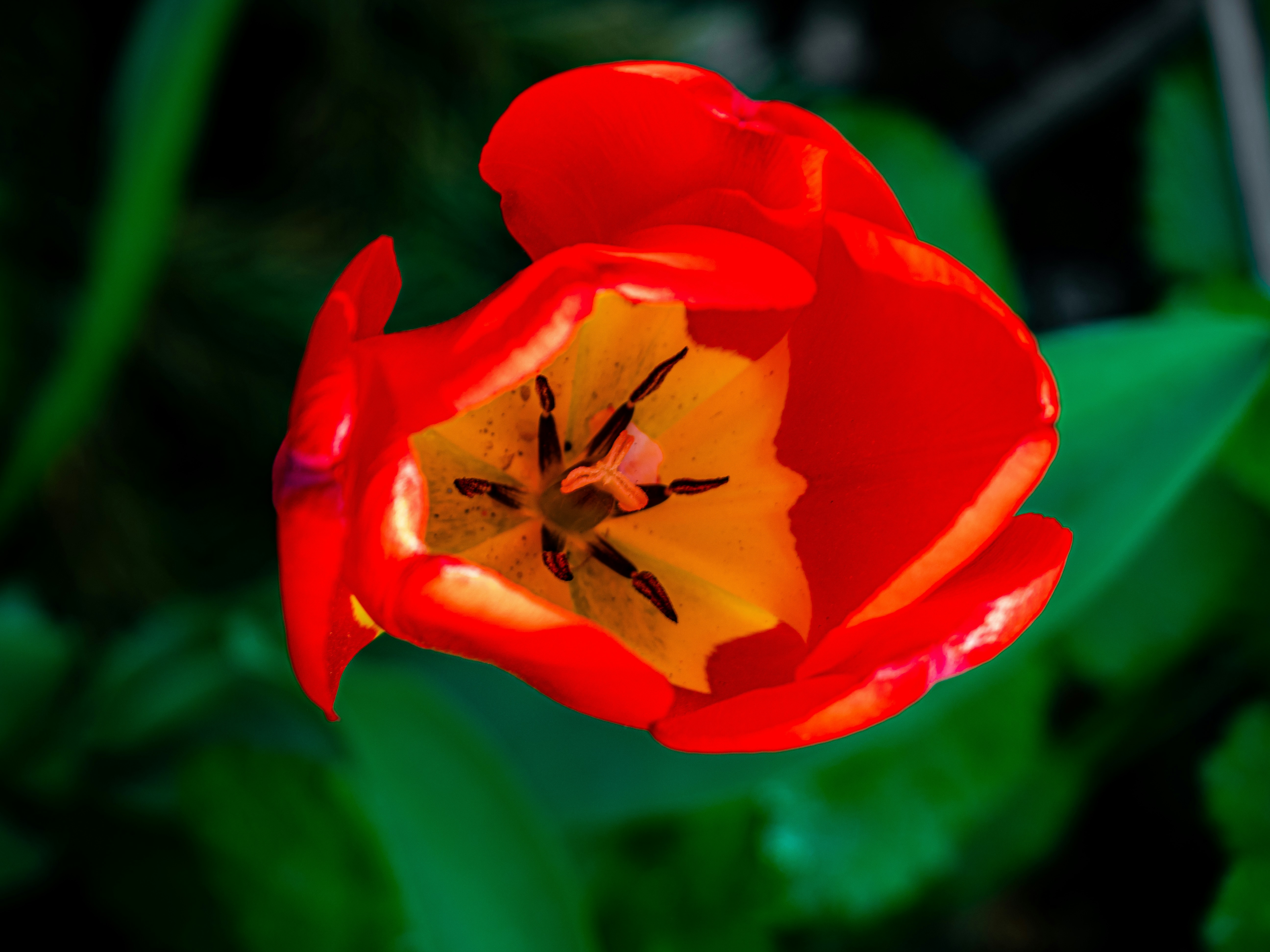 Photo by skstrannik