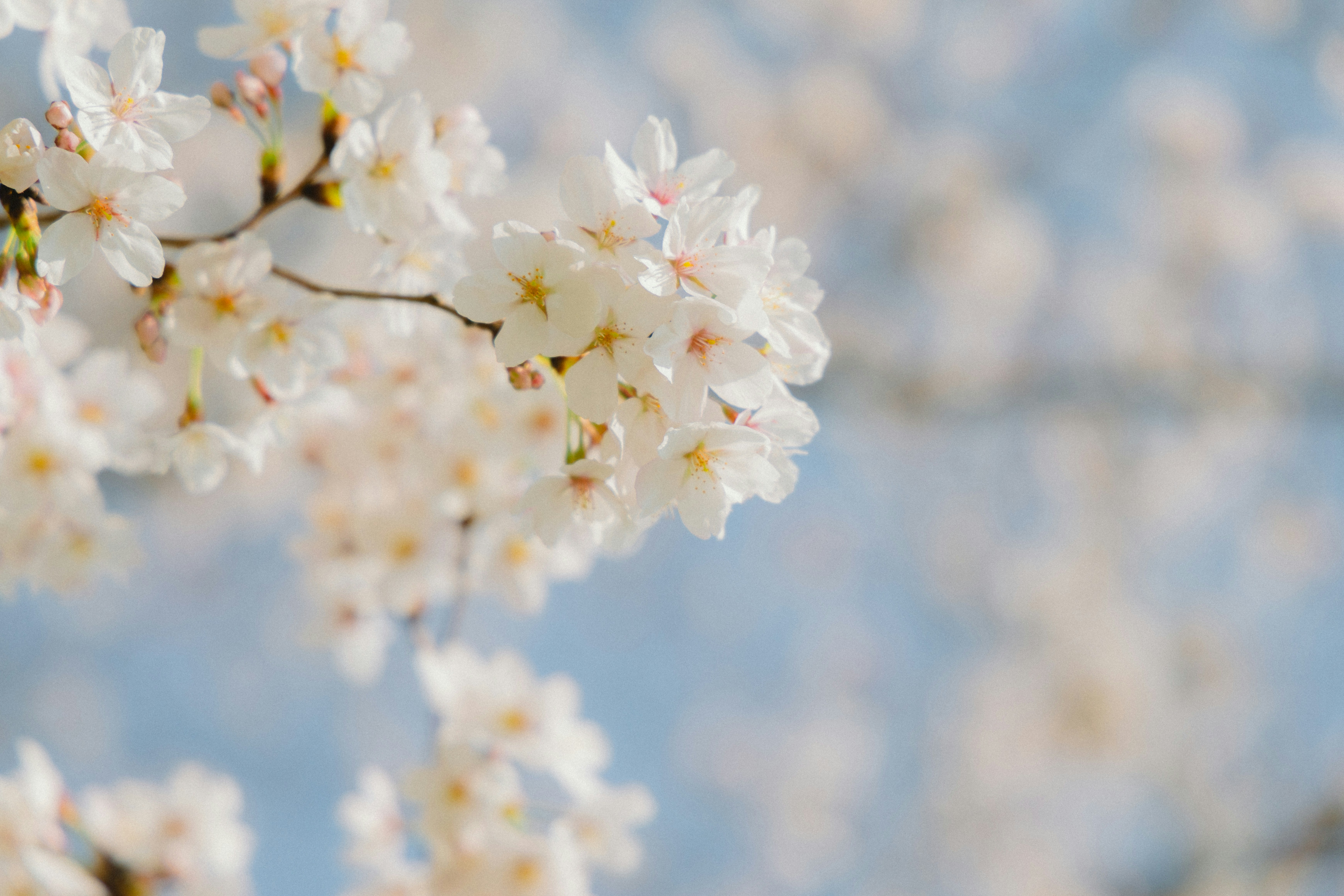 Photo by parkseongjin