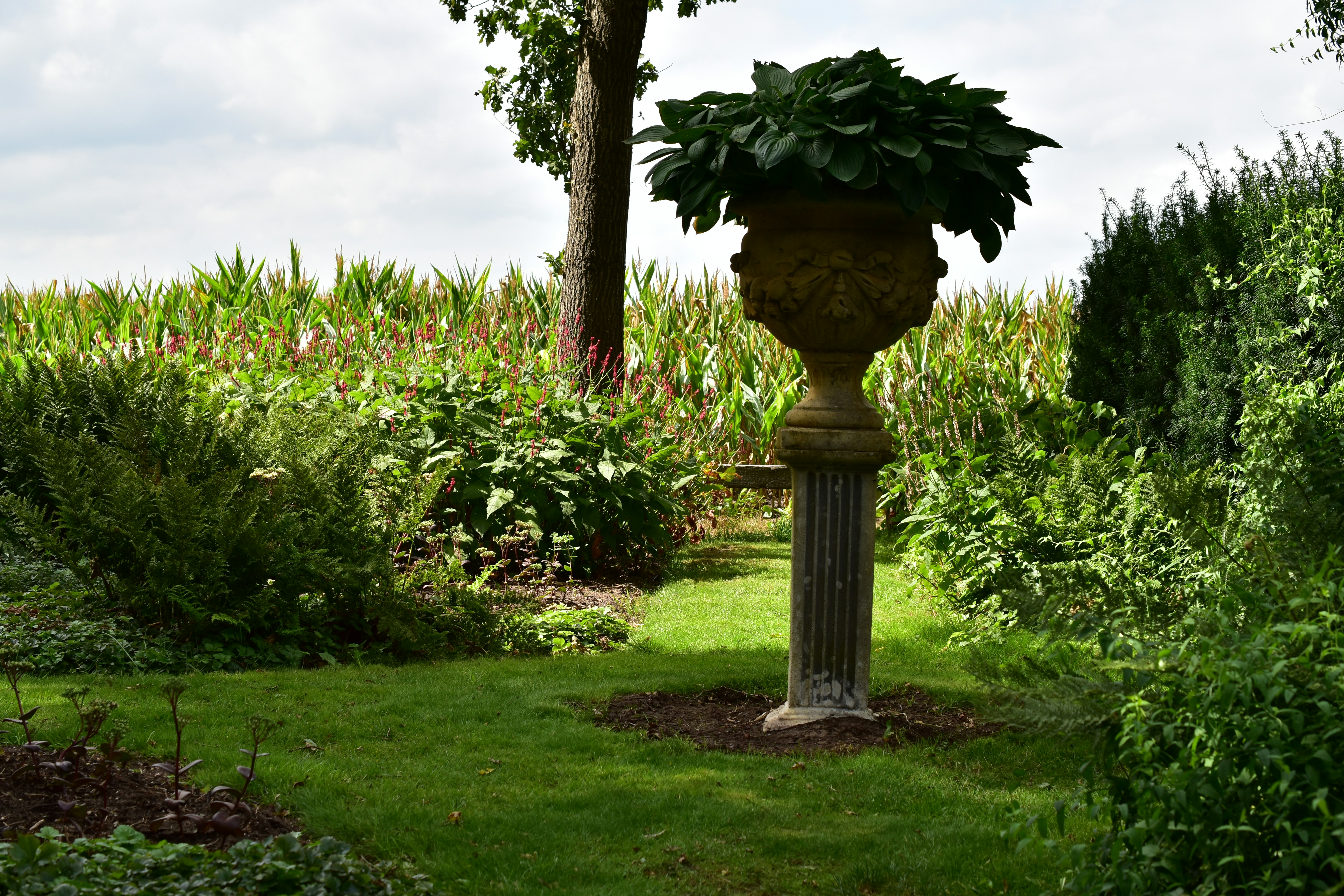 Stone urn with plants on pedestal in garden