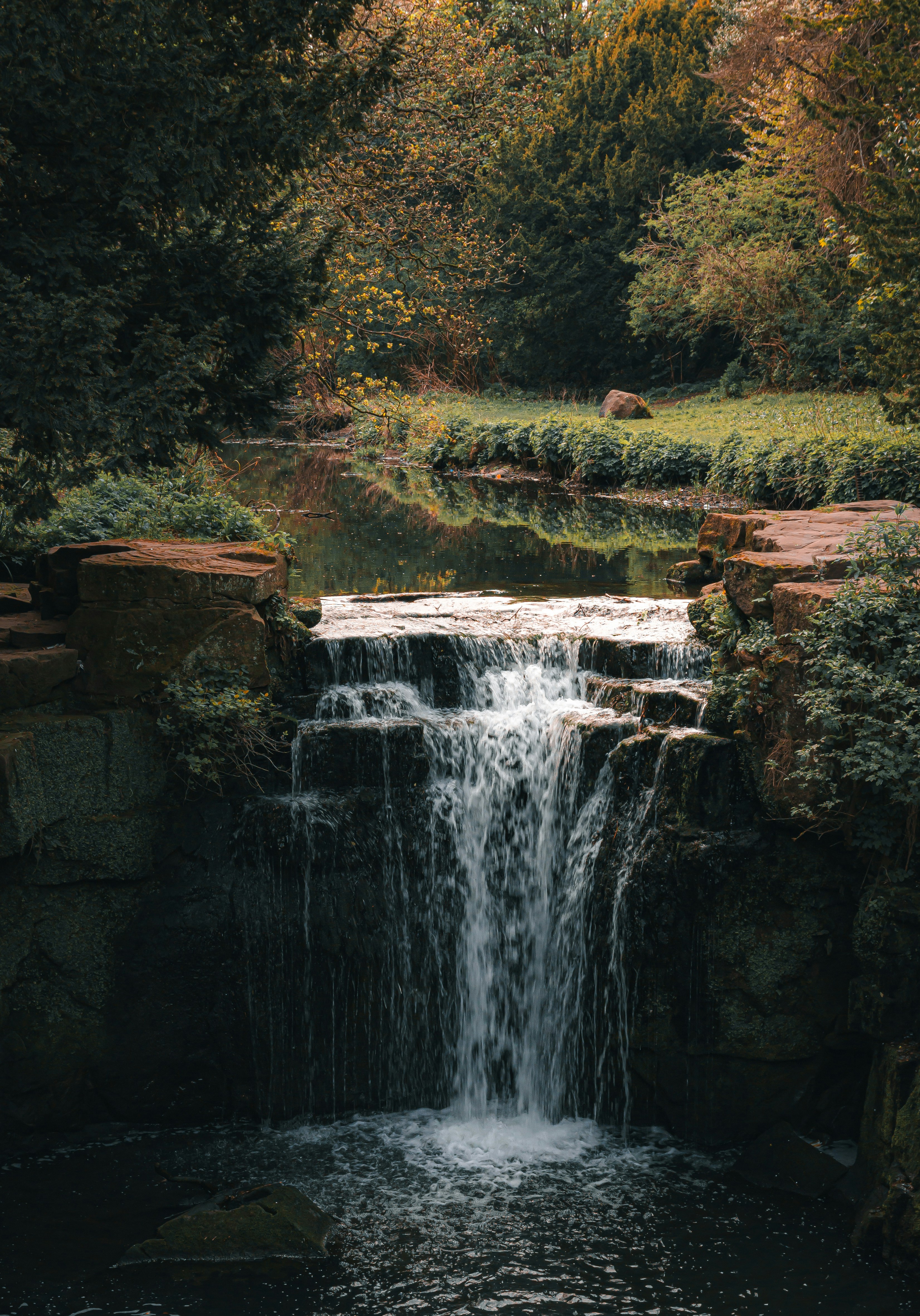 Una pequeña cascada desemboca en una piscina rodeada de árboles.