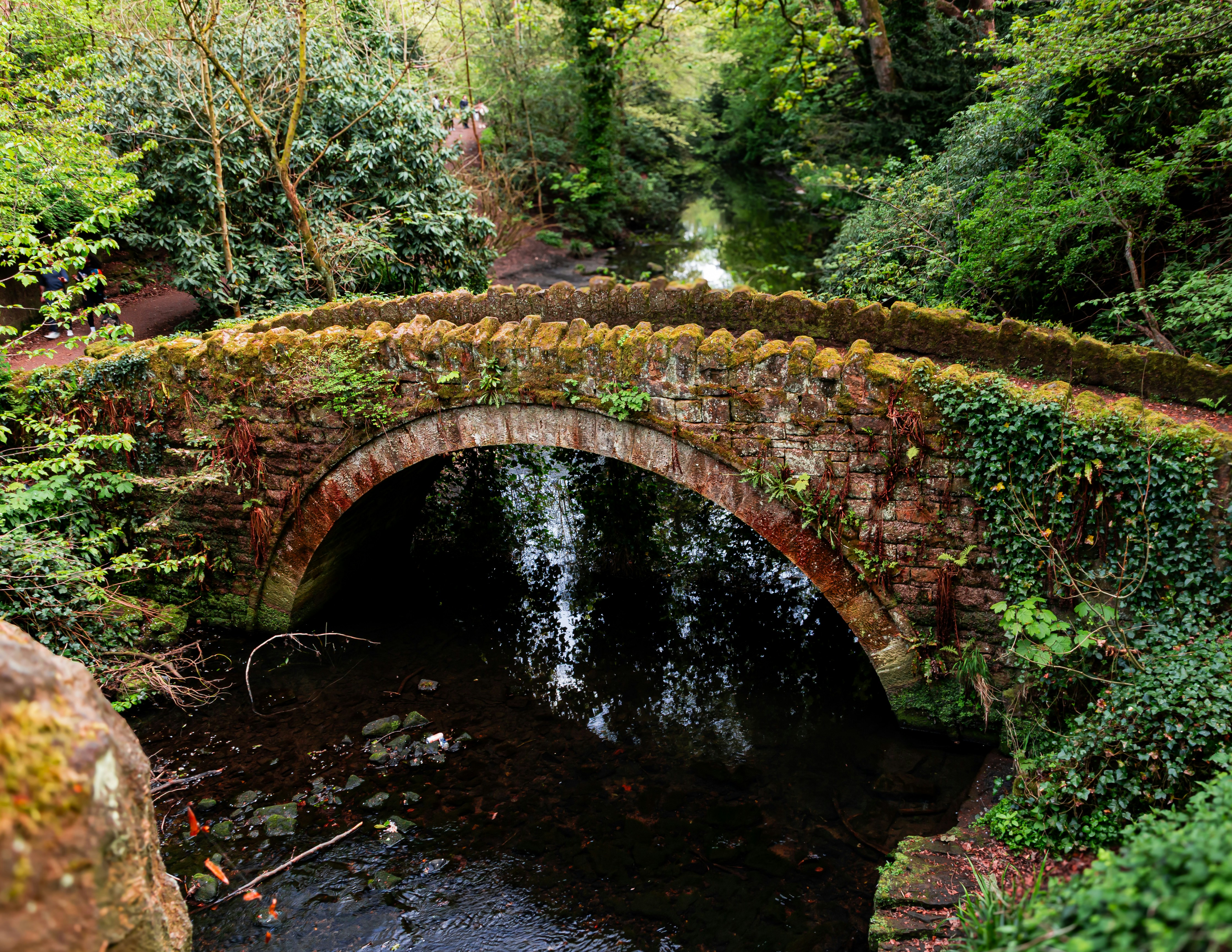 Viejo puente de piedra cubierto de musgo sobre un arroyo