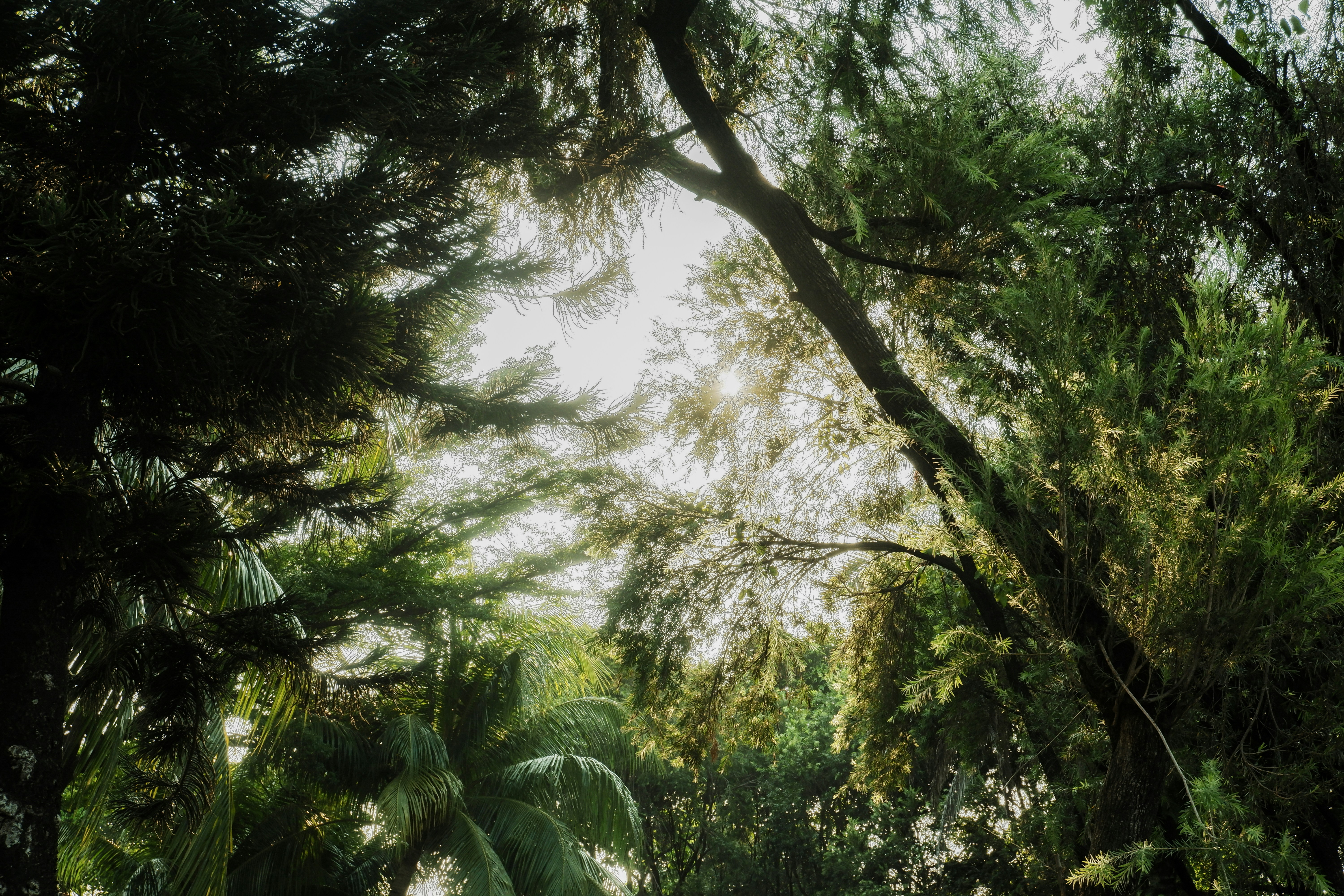 Photo by irsyadra
