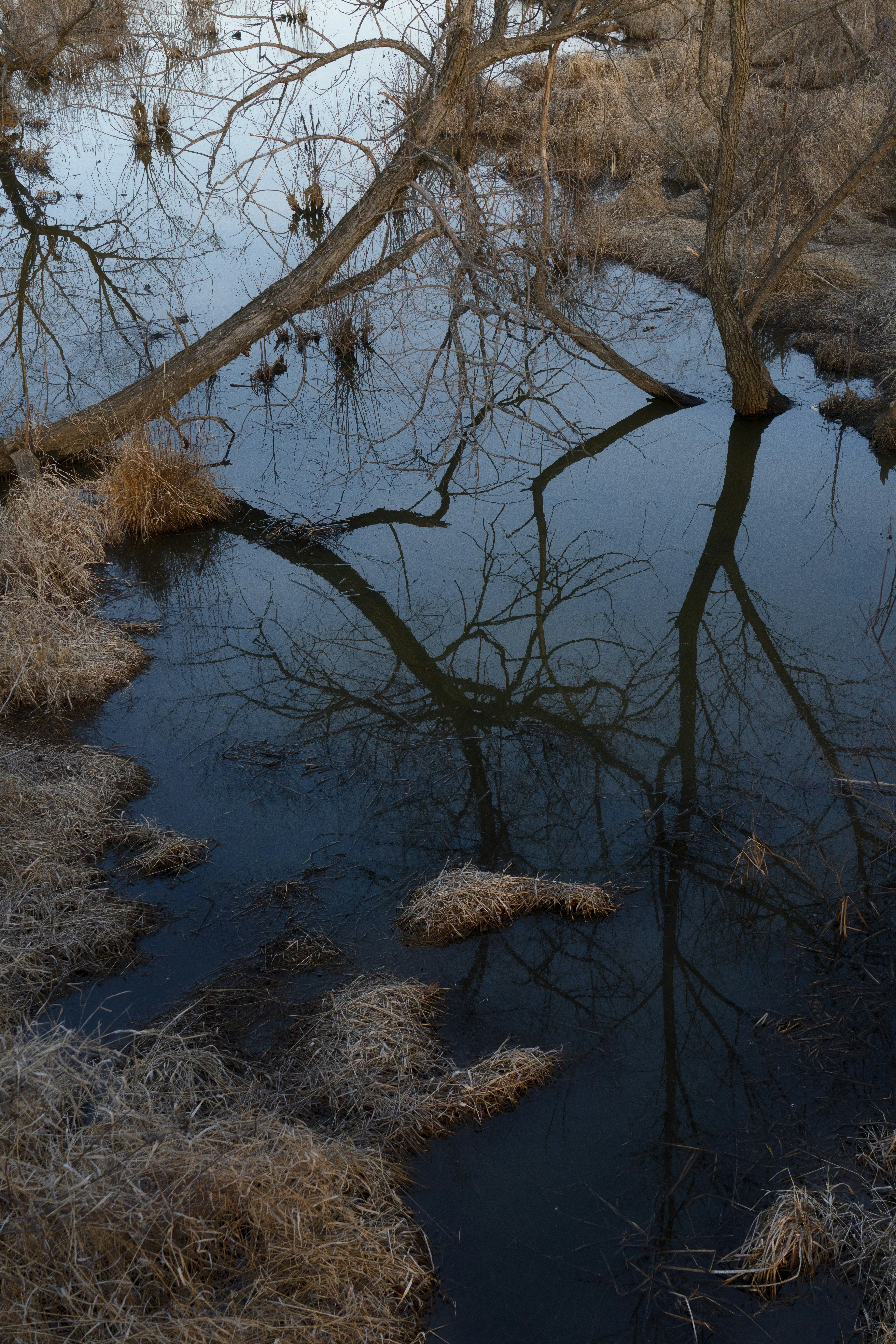 Photo by intricateexplorer
