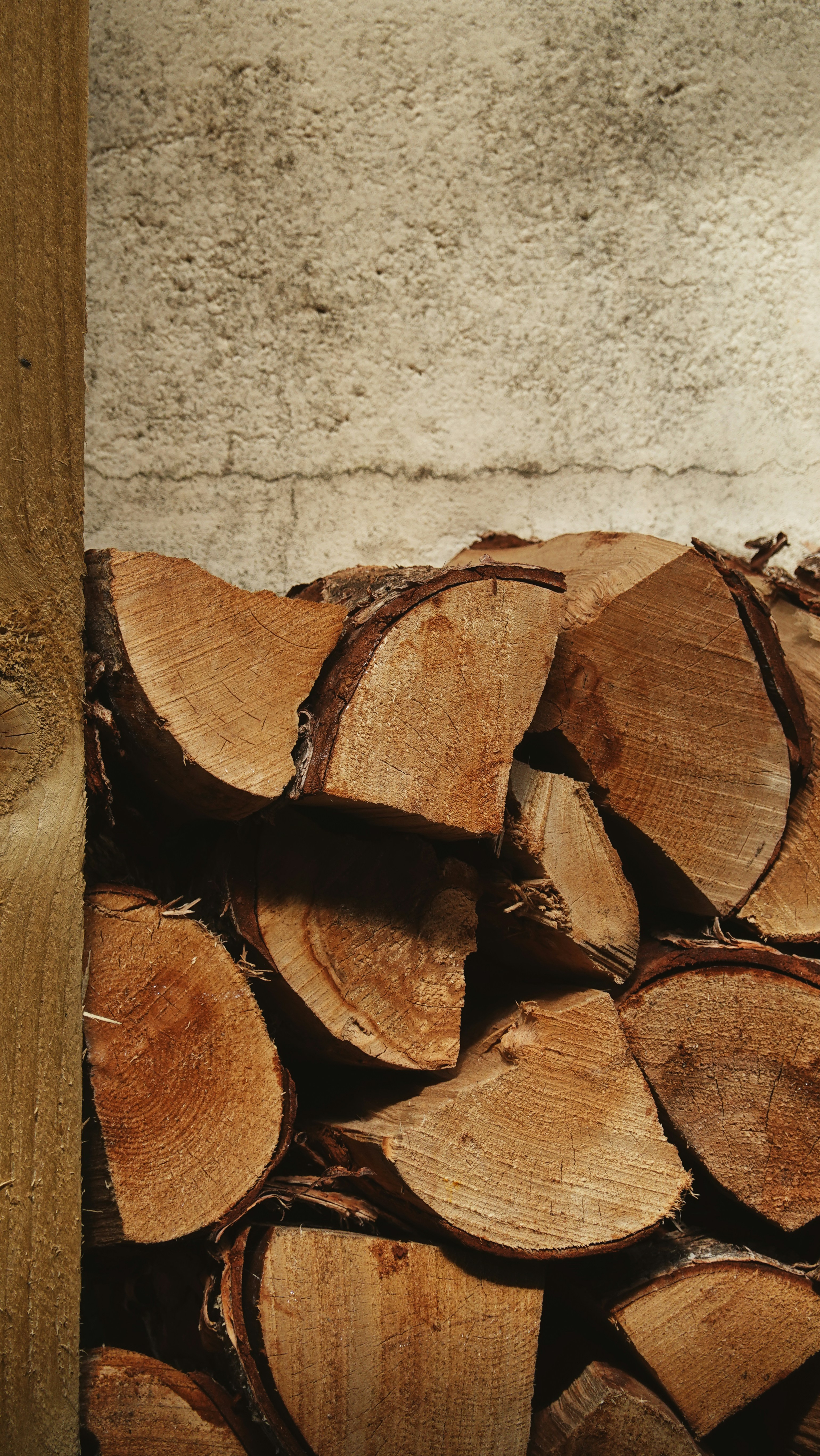 Stacked firewood logs