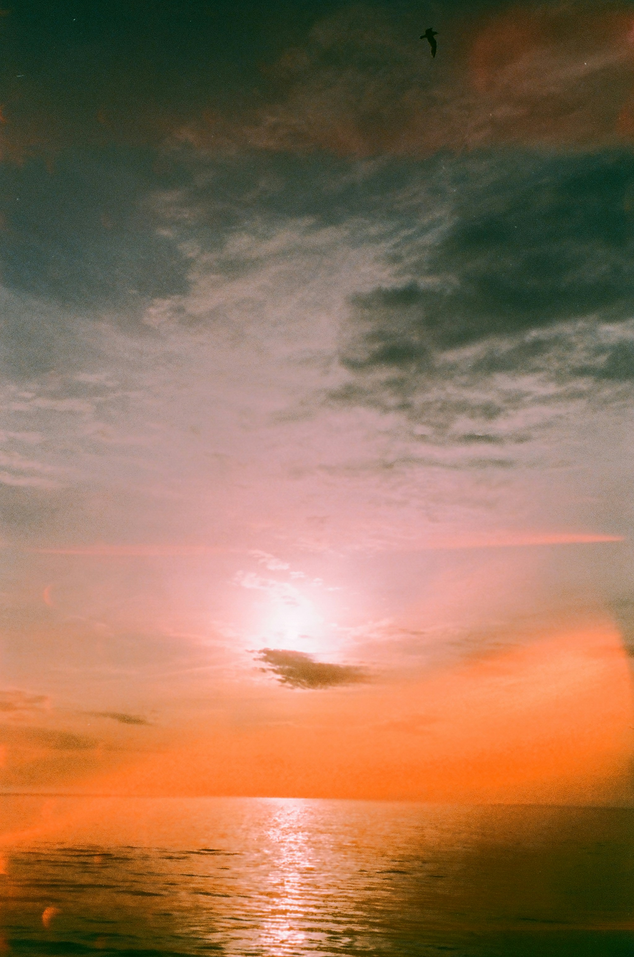 Sunset over a calm ocean