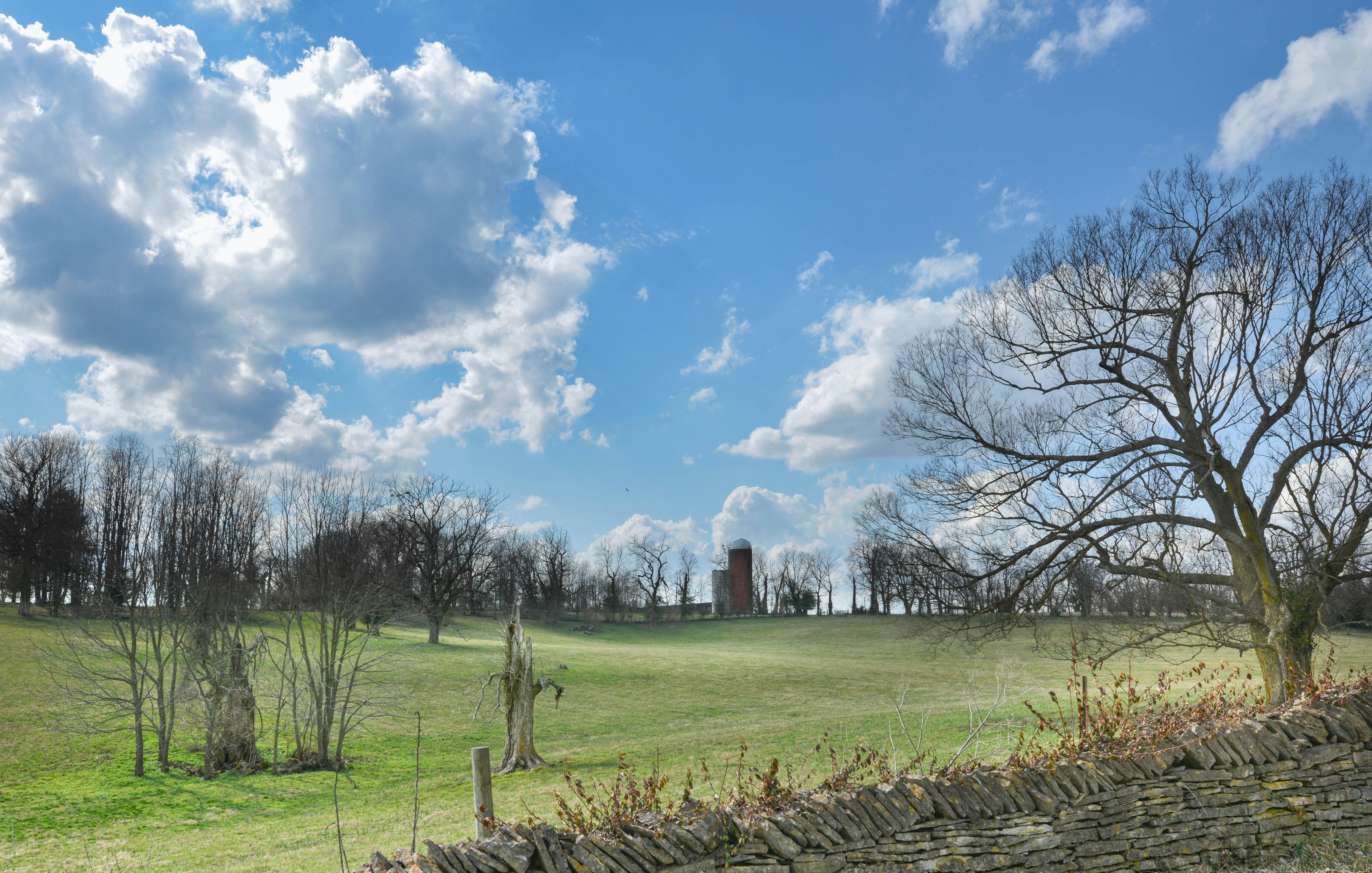A vast green field under a bright blue sky.