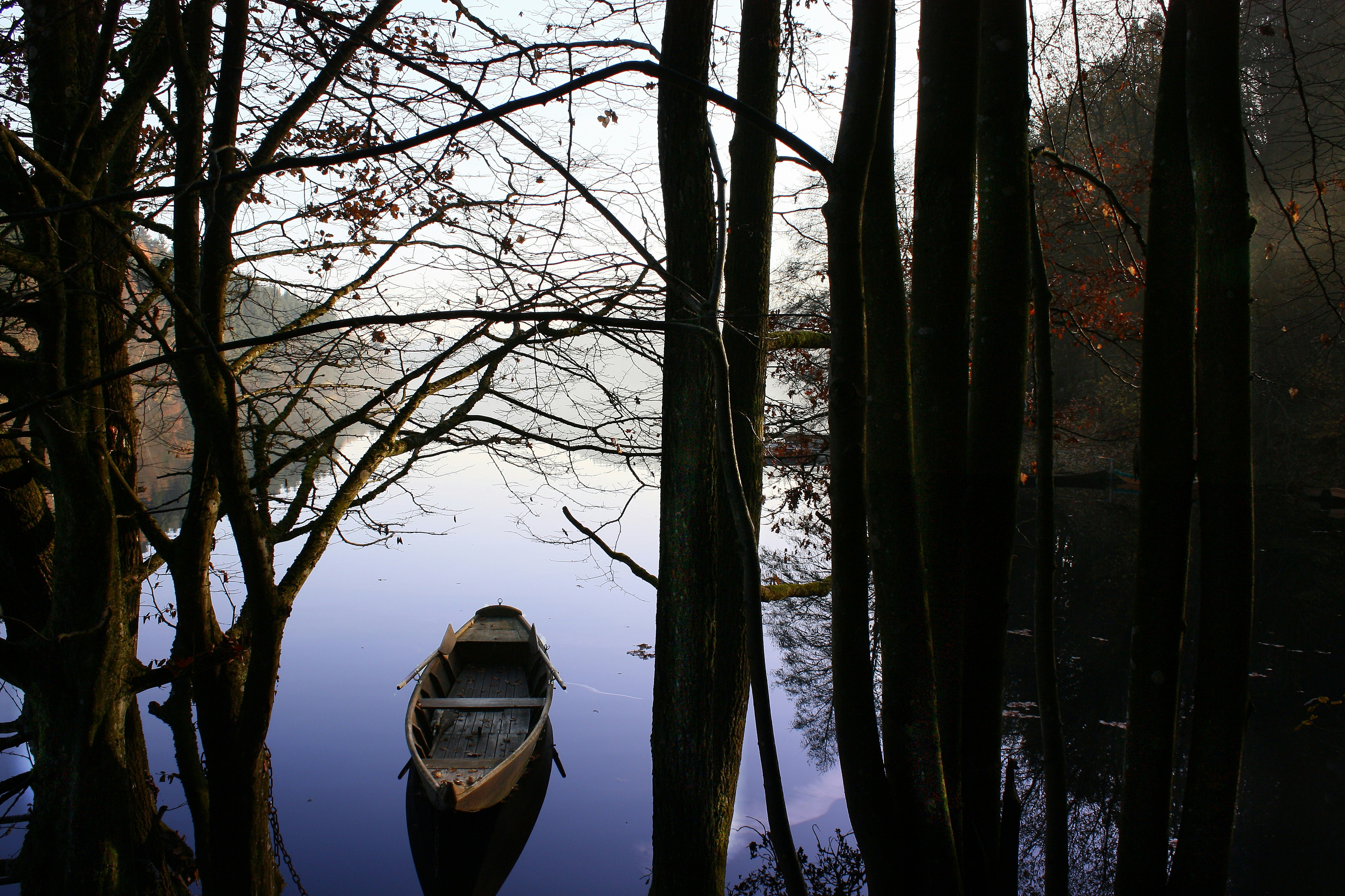 Photo by venetum