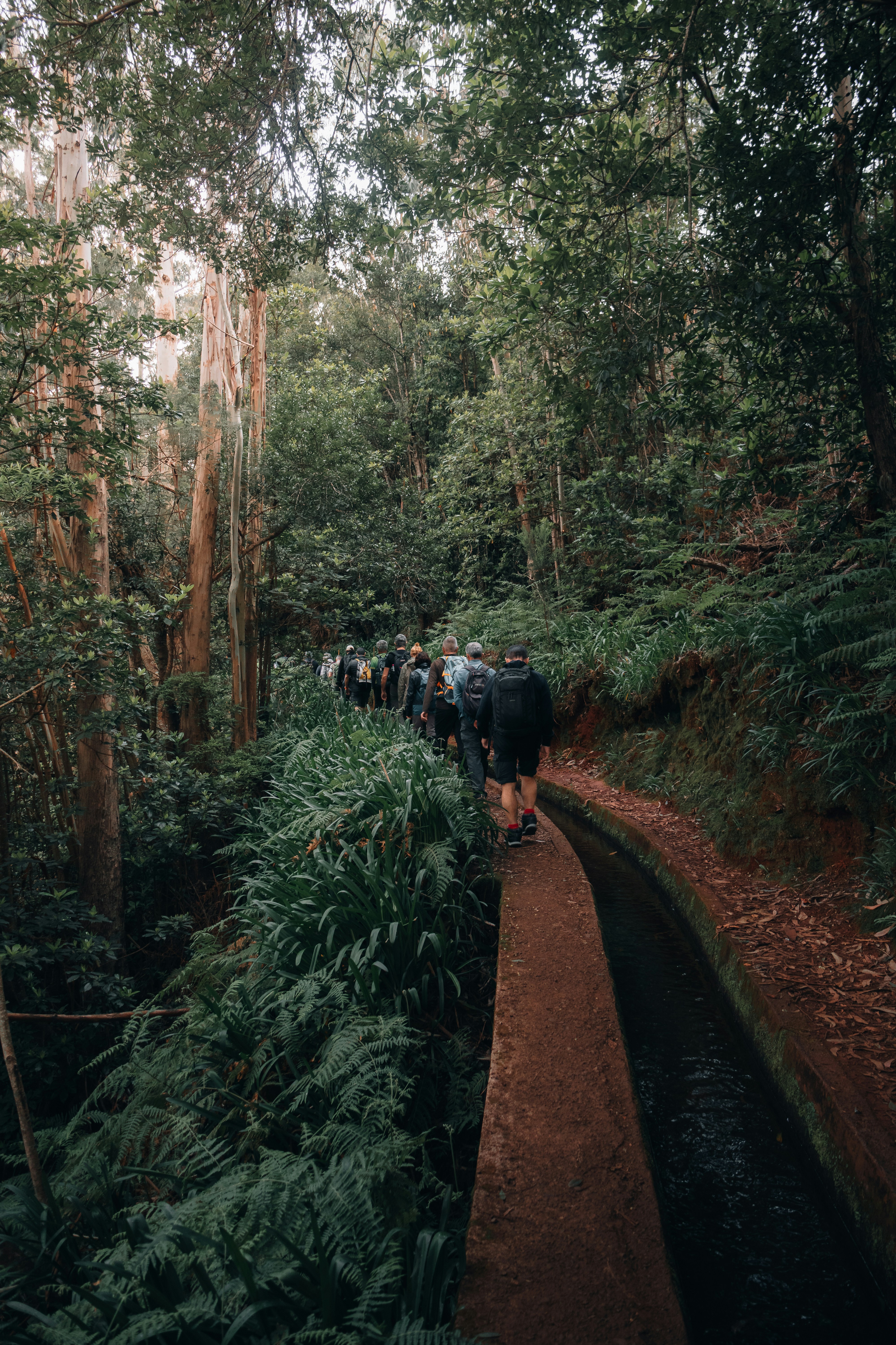 group tour portugal