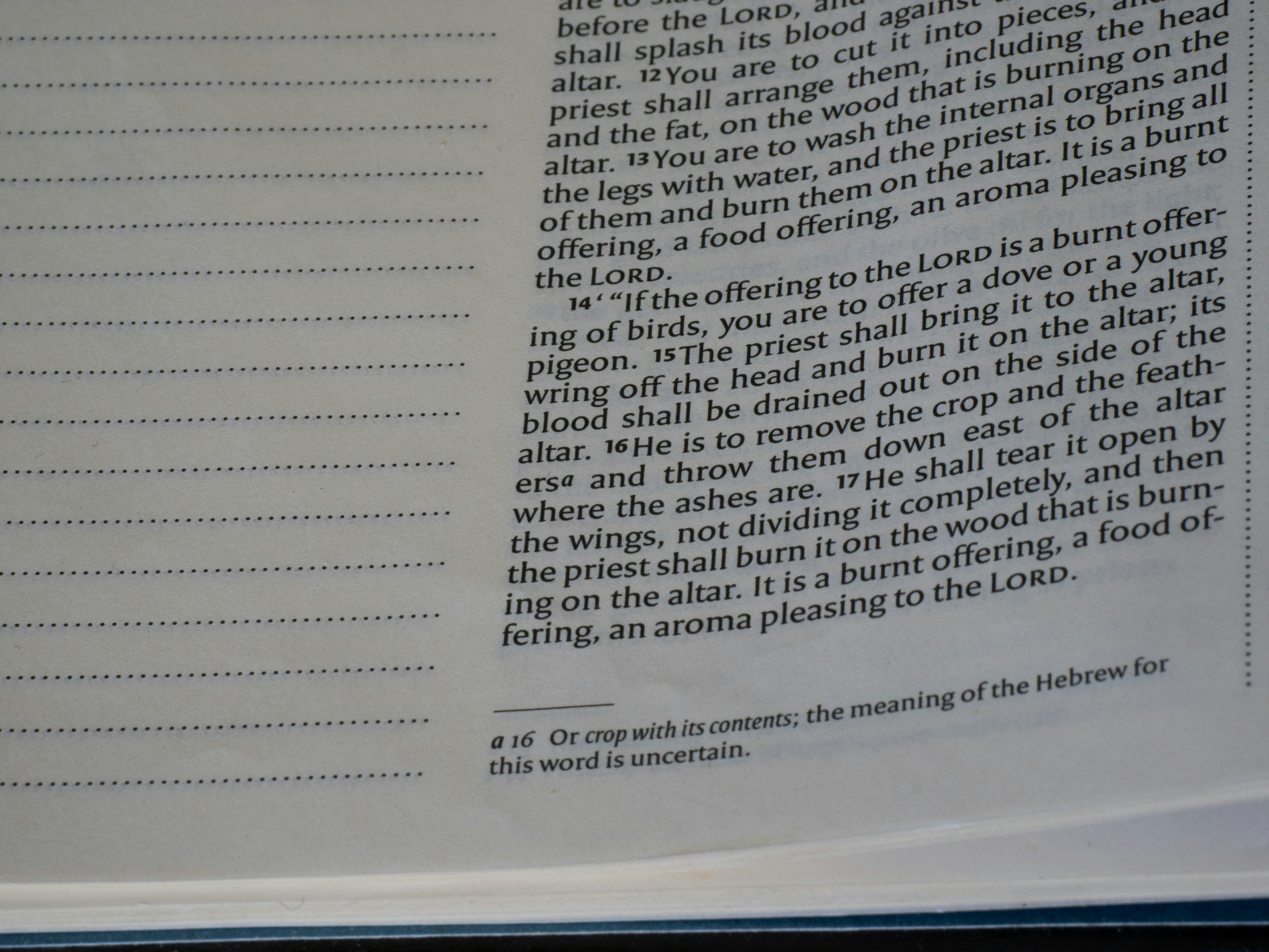 The Book of Leviticus
