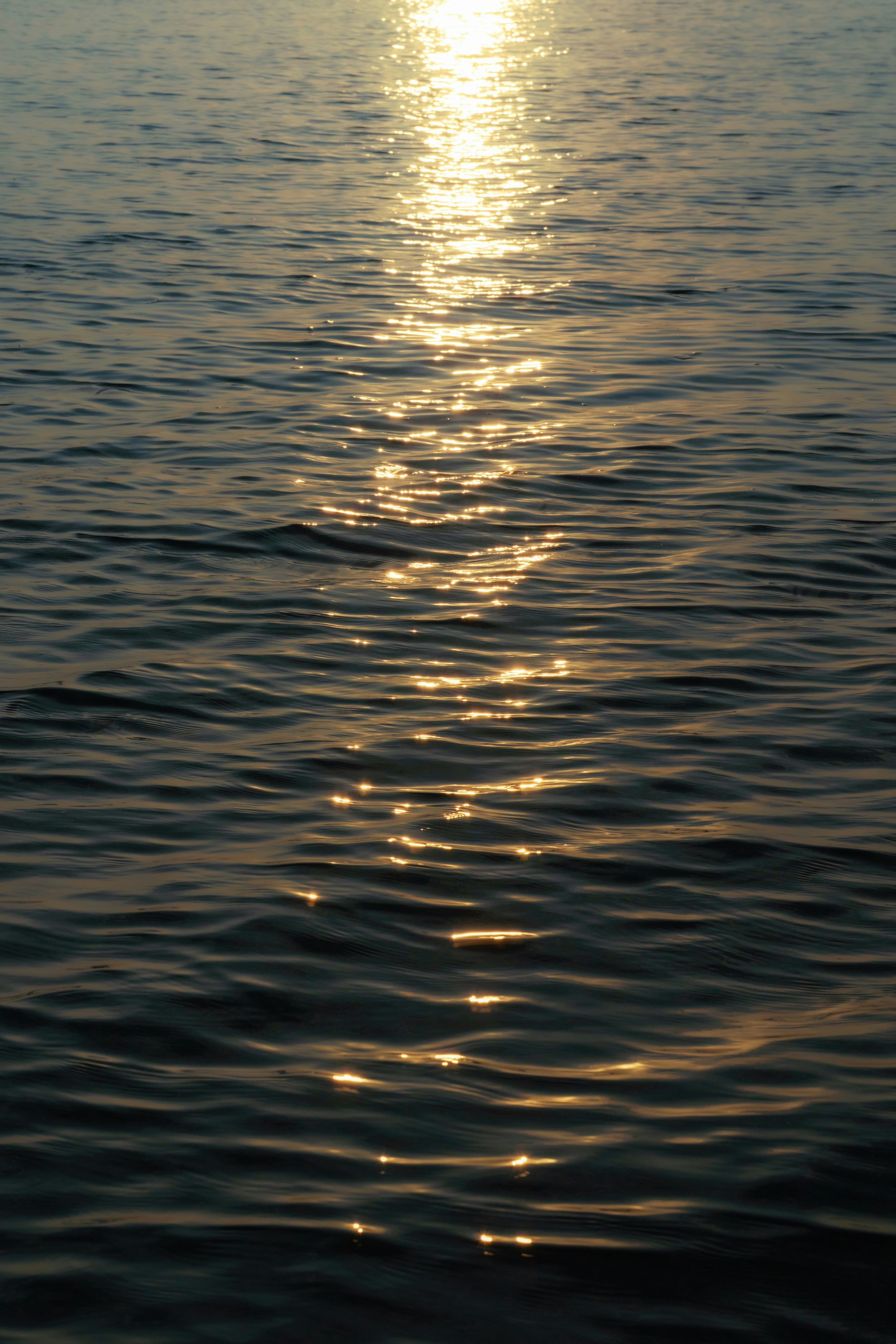 Golden sun reflects on rippling dark water