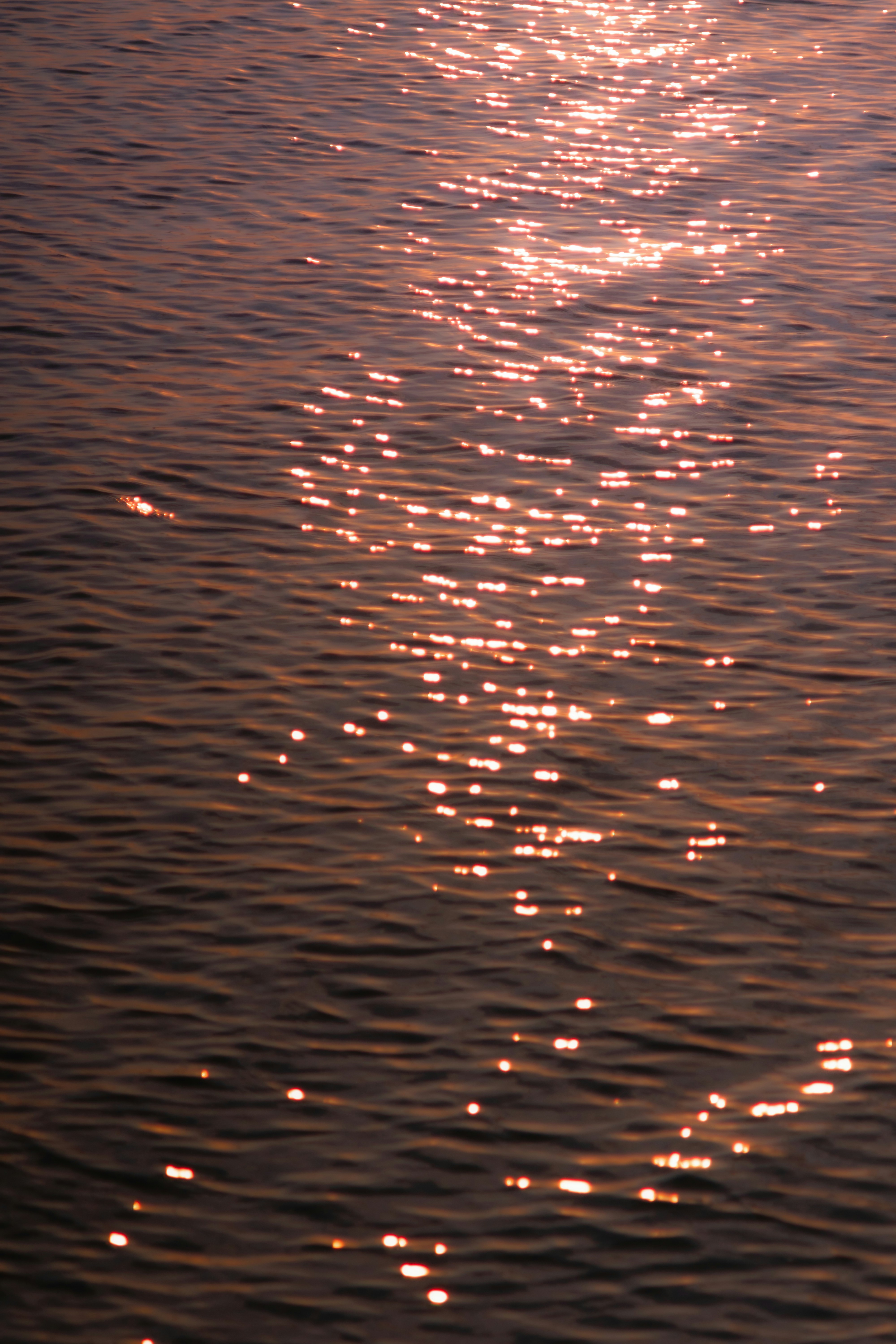 Sunlight sparkles on rippling water surface