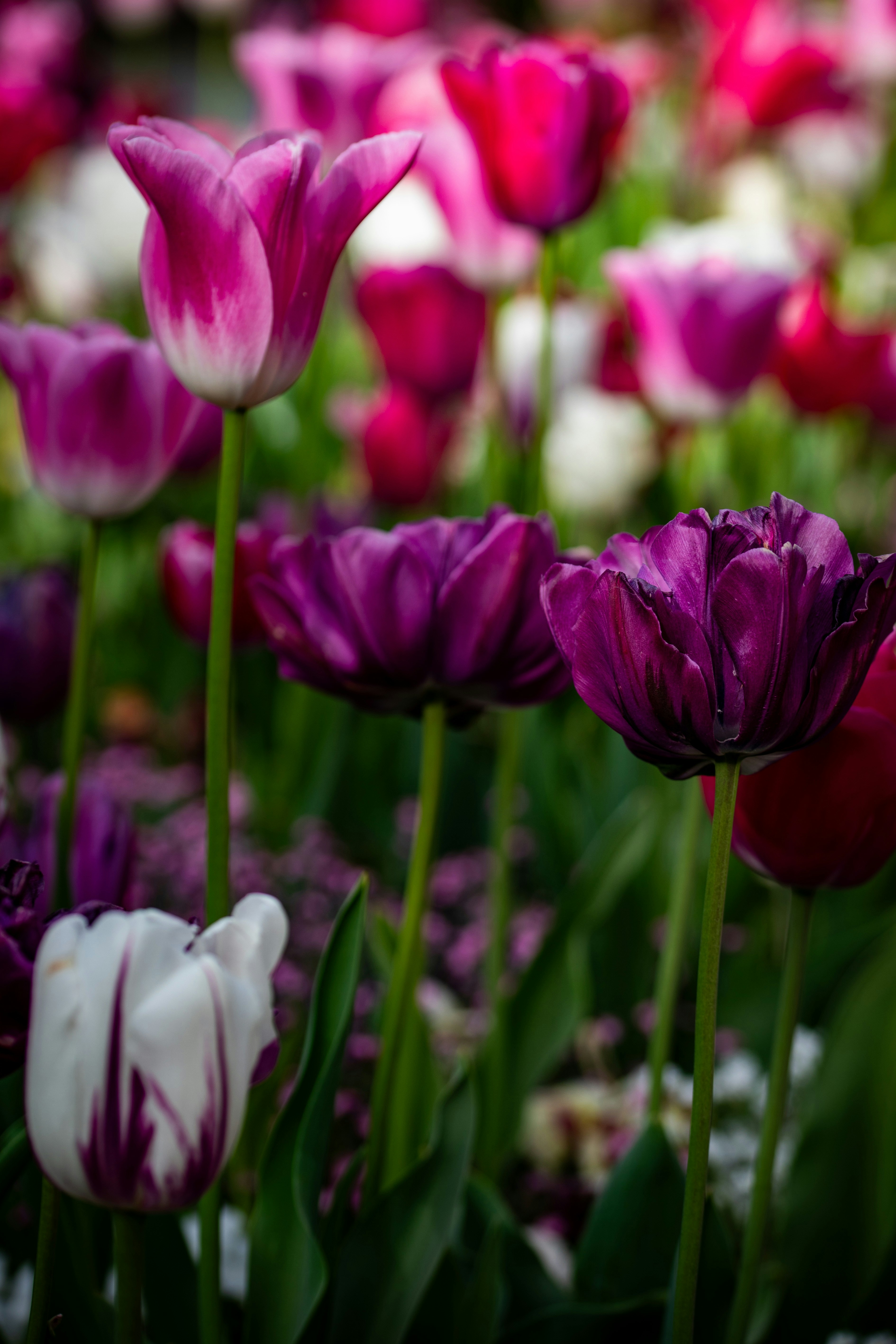 Photo by hdbernd