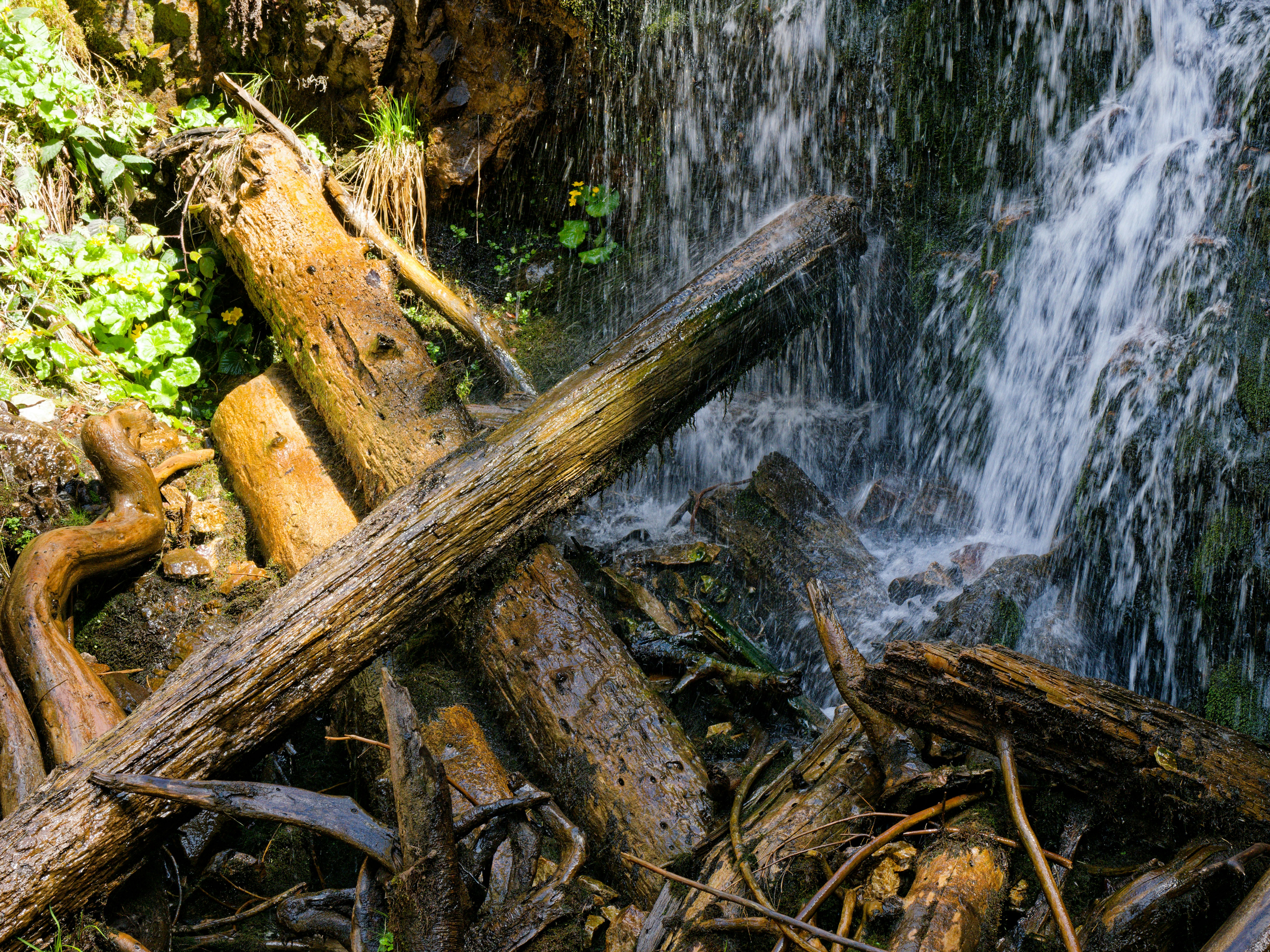 Umgestürzte Baumstämme in der Nähe eines herabstürzenden Wasserfalls im Wald
