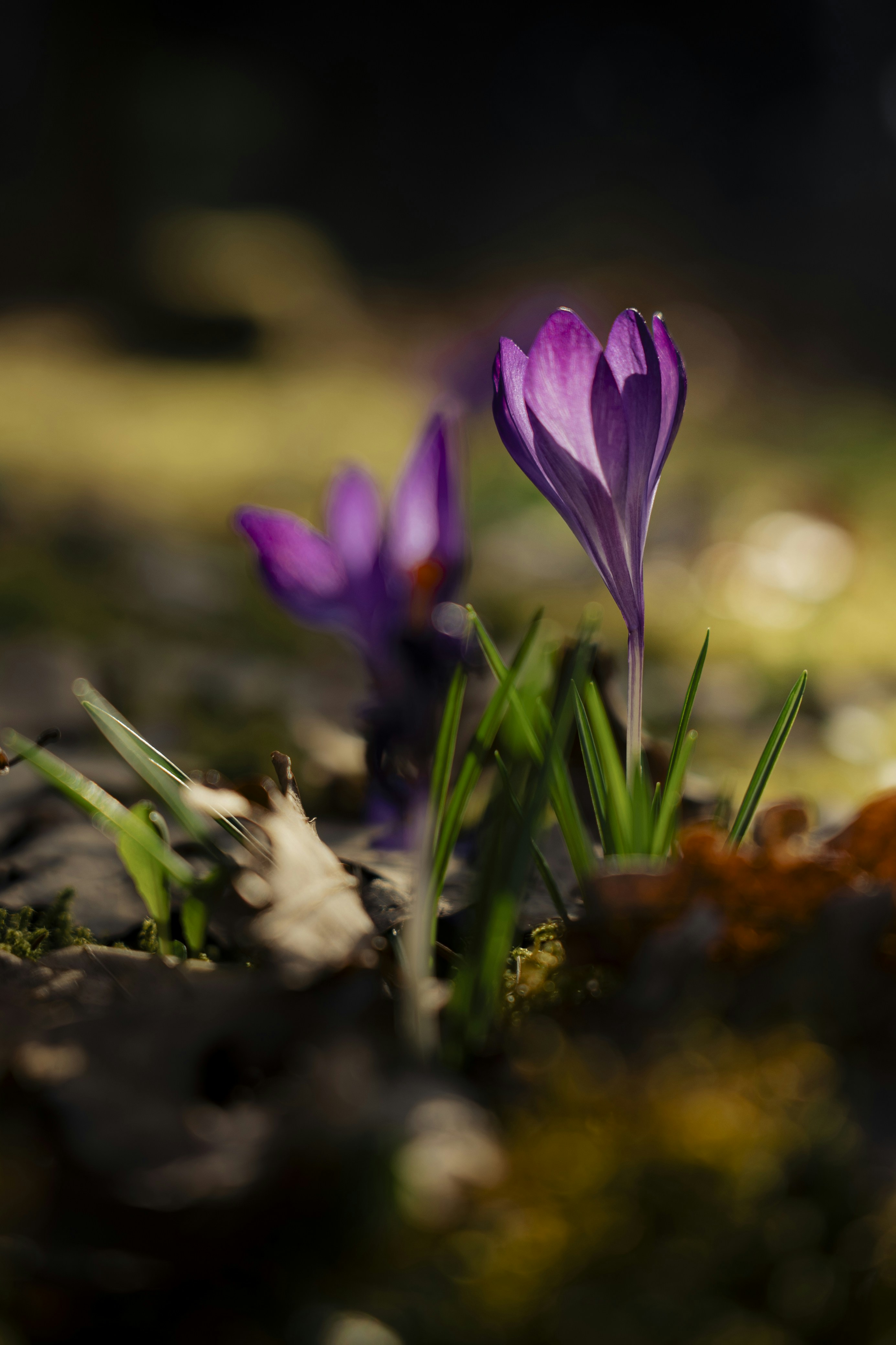 Photo by dermanuskript