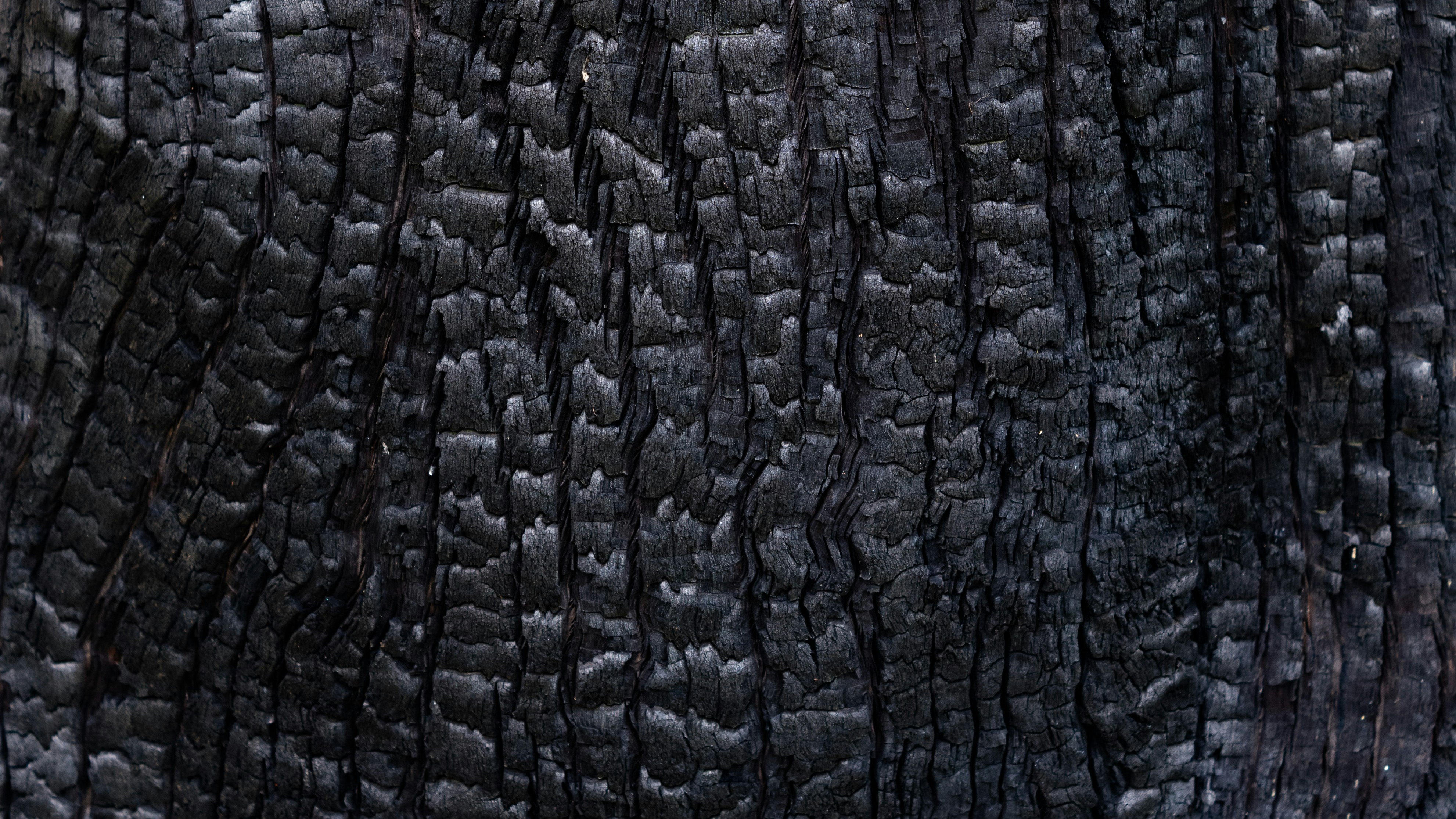 Charred wood texture with deep grain patterns photo – Free Background ...